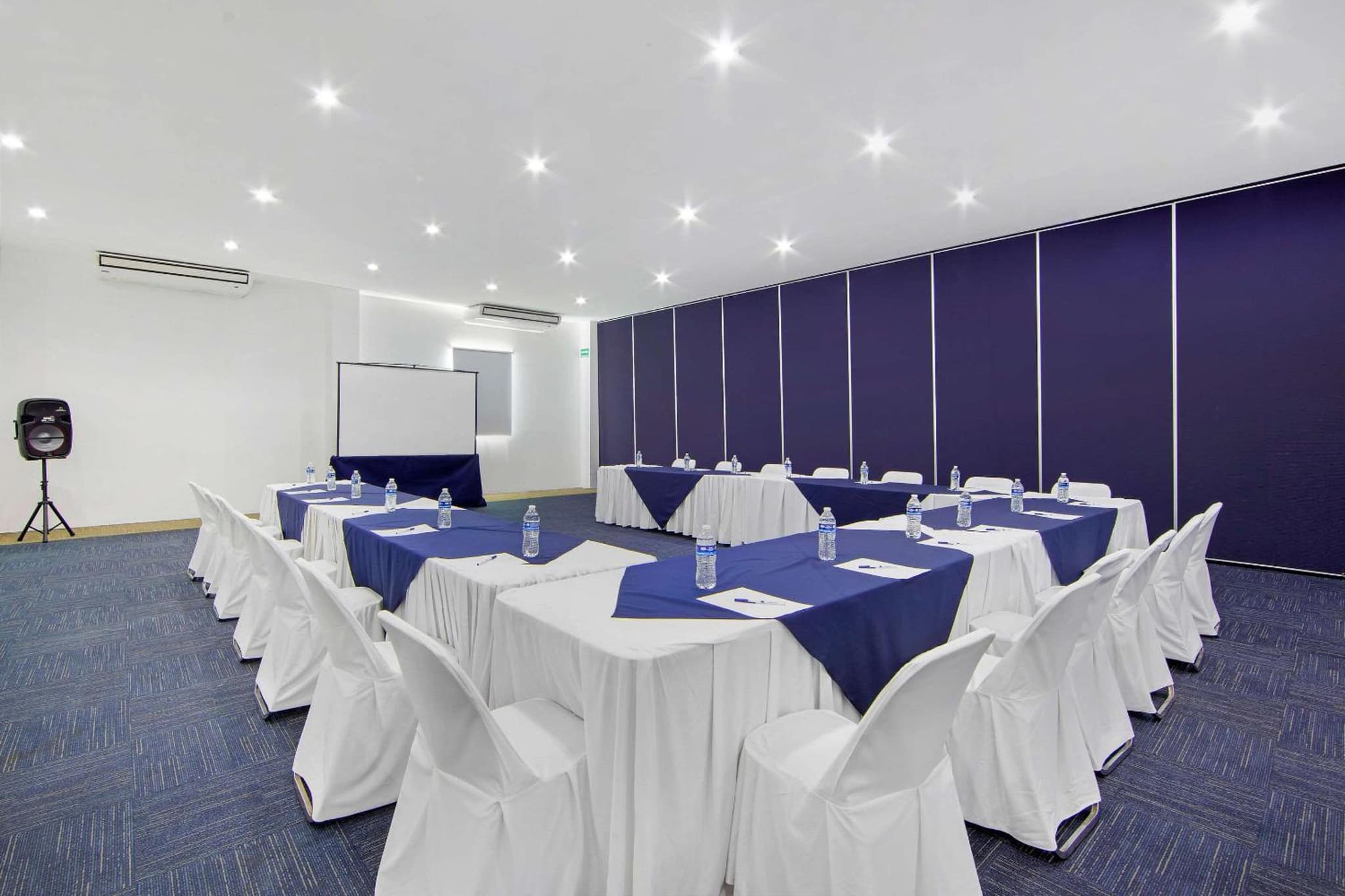 Premier Inn Tuxtla photo 3
