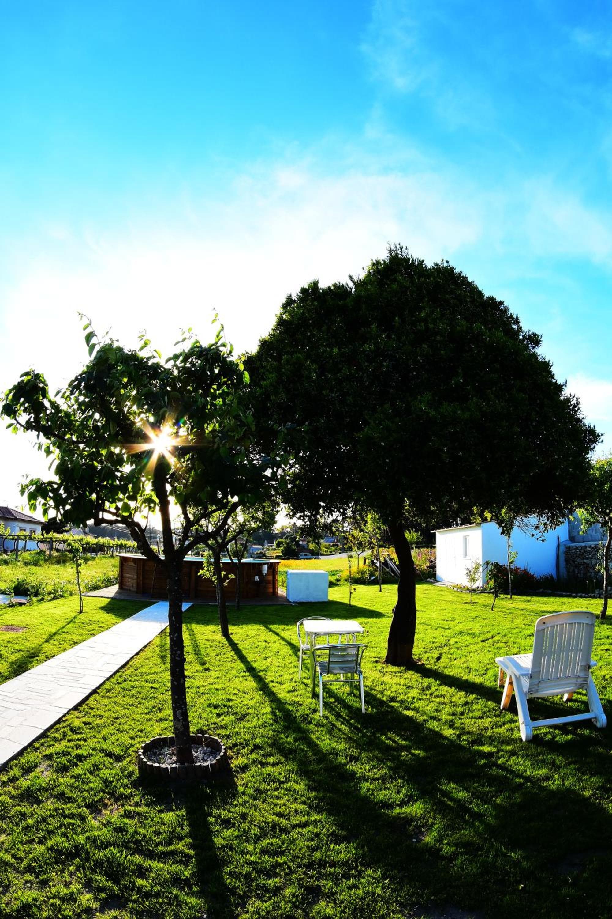 Quinta dos Avós photo 4
