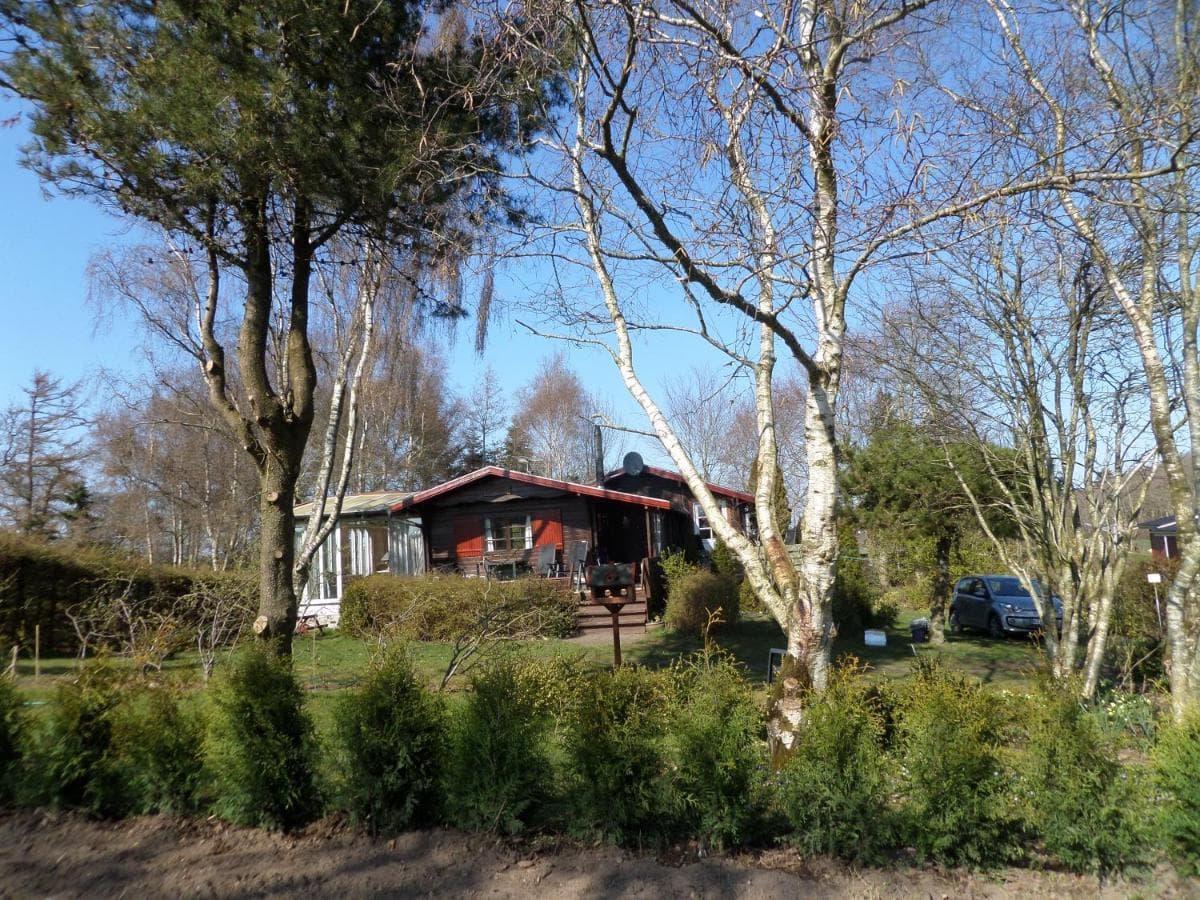 Vile Holiday House photo 3