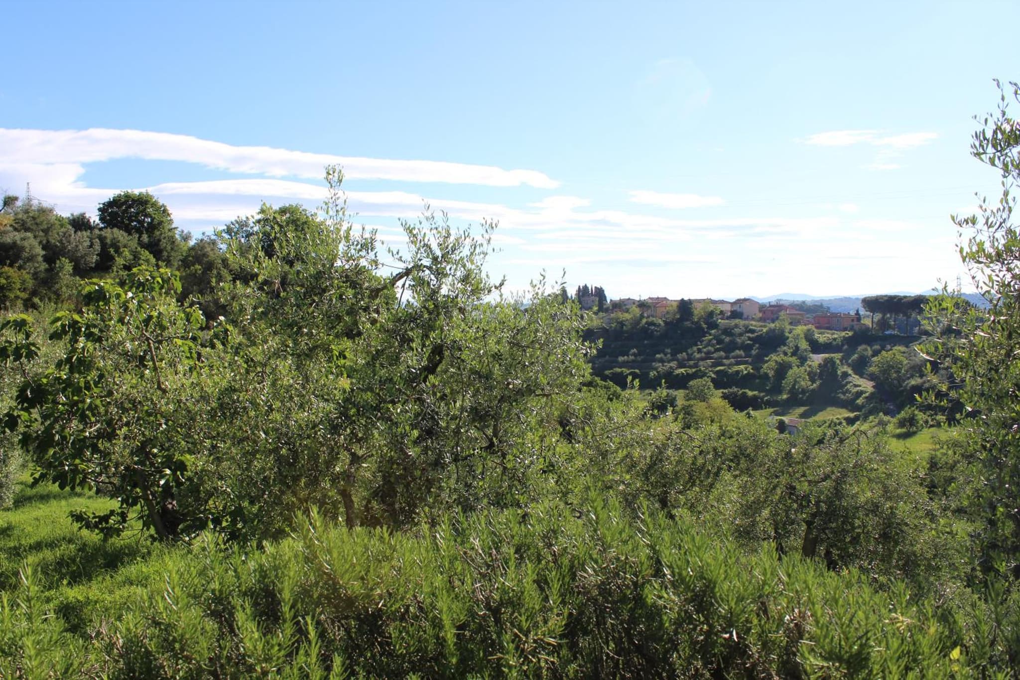 Villa Porsenna photo 4