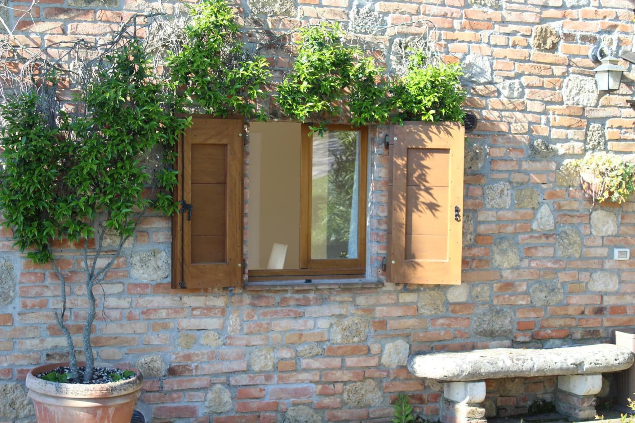 Villa Porsenna photo 8