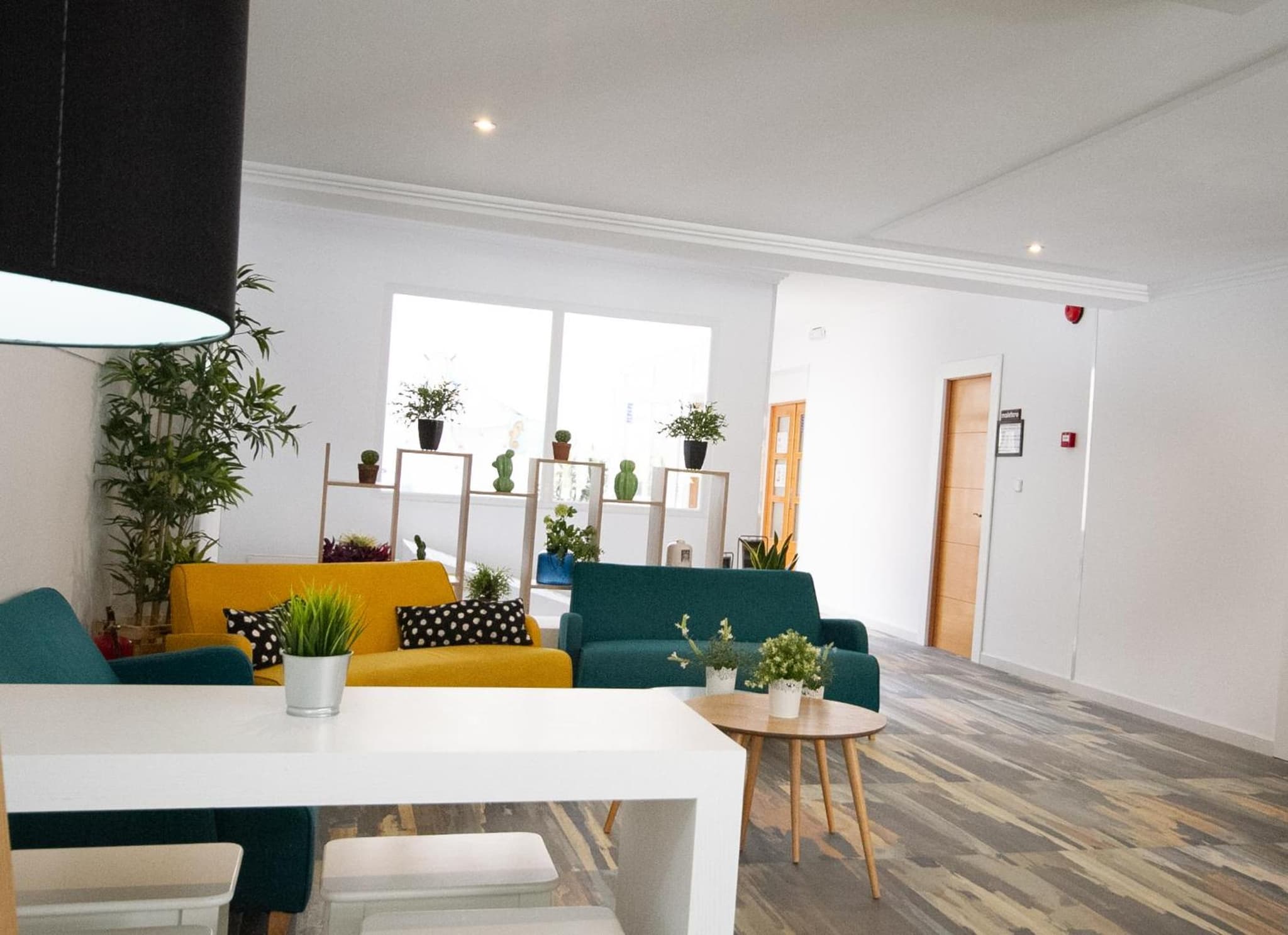 recepcion & lobby