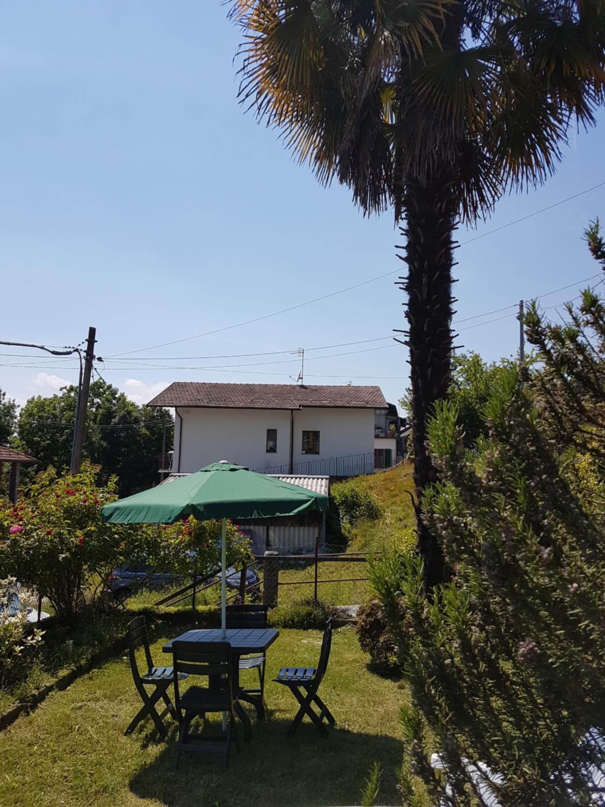 La Palma photo 9