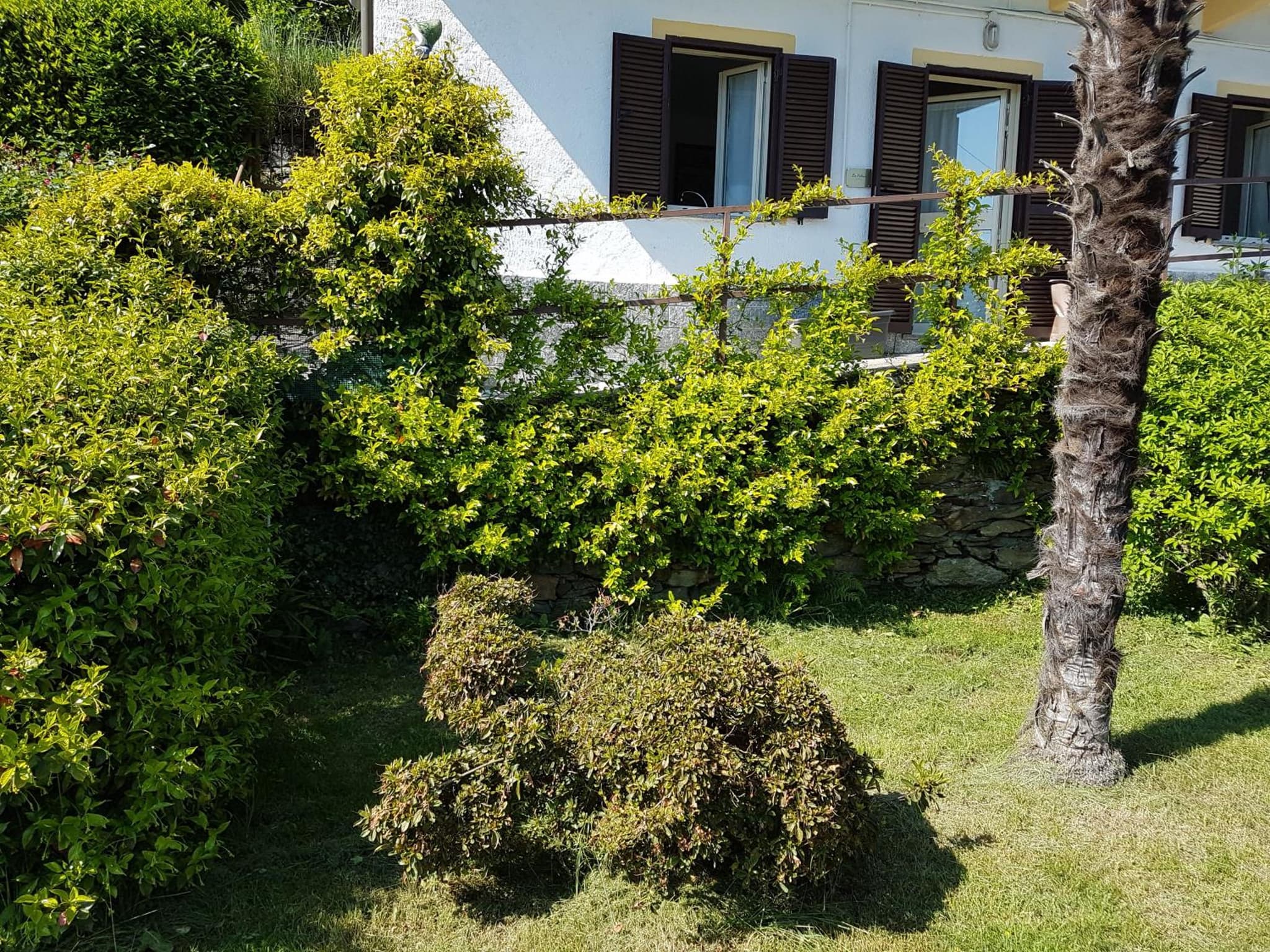 La Palma photo 2