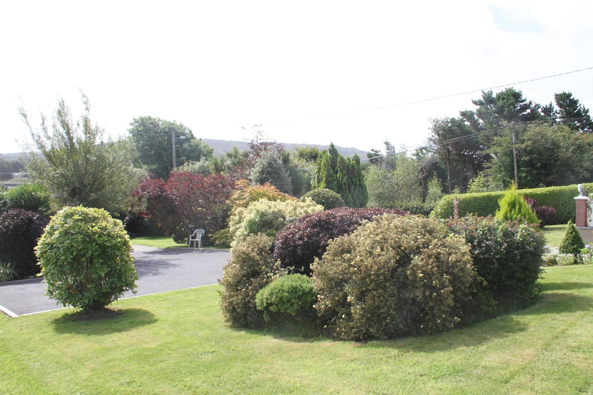 Marguerite's B&B photo 4