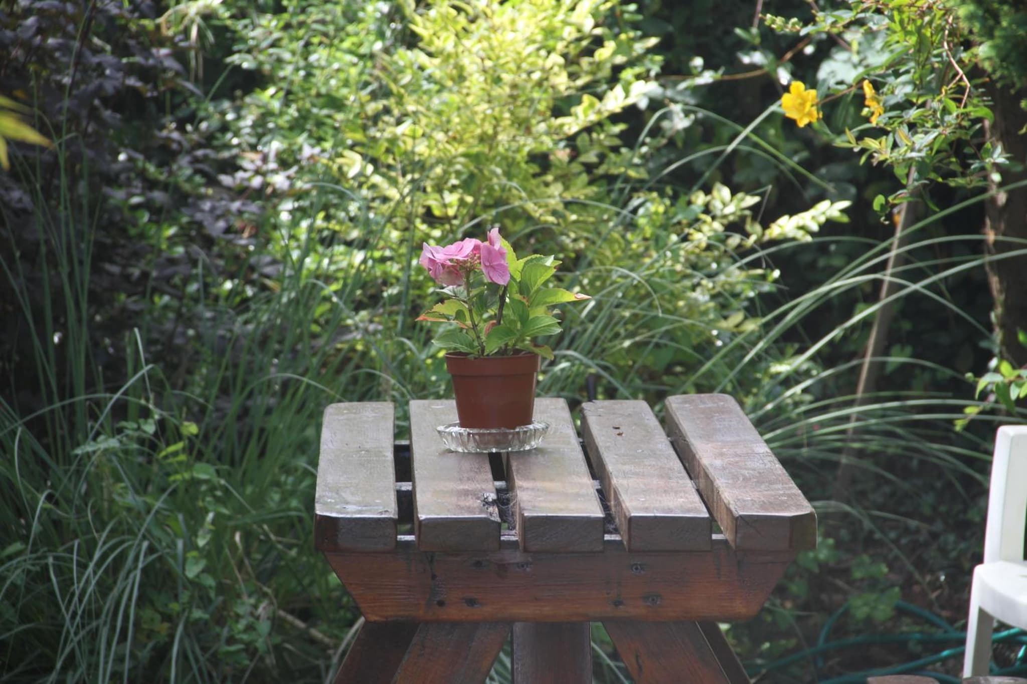 Marguerite's B&B photo 8