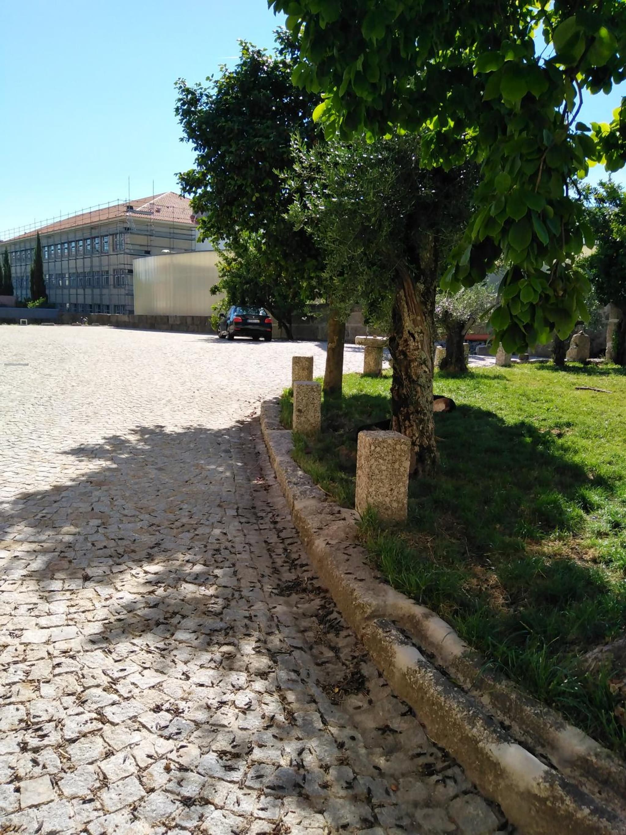 ALM SANTA LUZIA photo 6