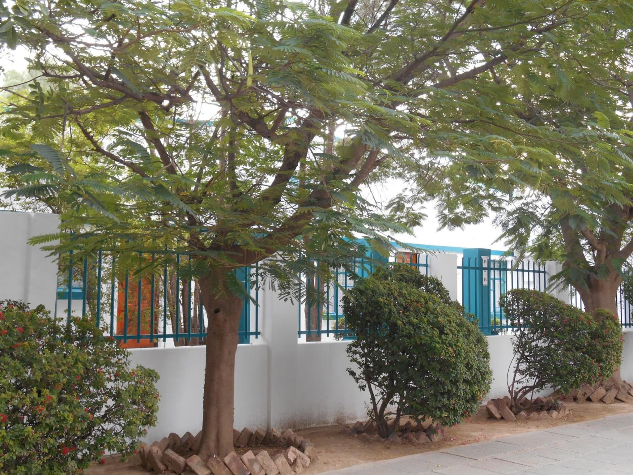Obesa Lodge photo 7