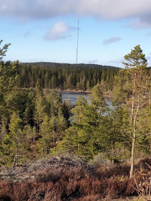 Lillesjö stuguthyrning photo 4
