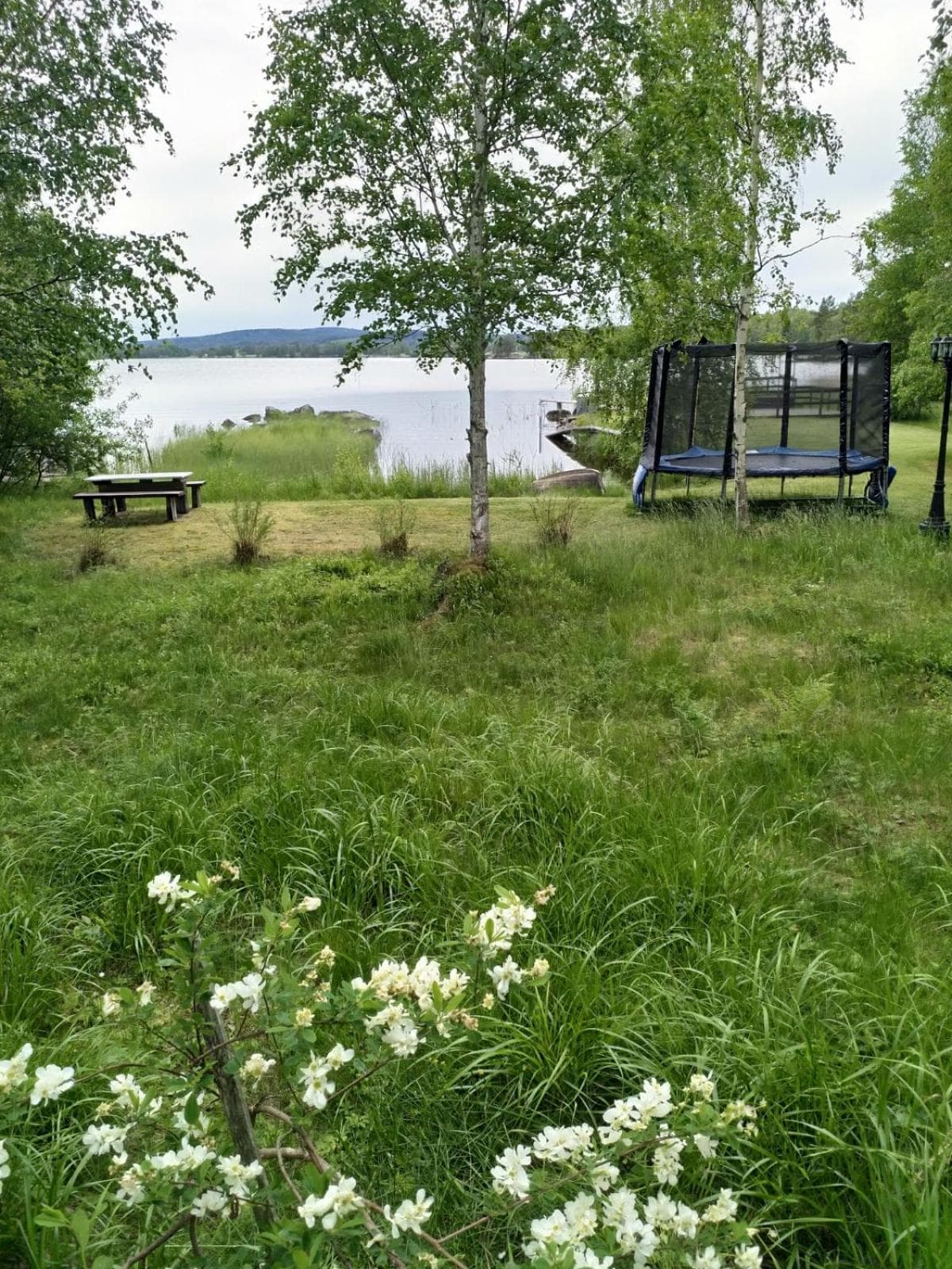 Mysig timmerstuga med sjötomt photo 3