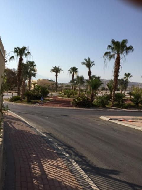 הבית של דרורי photo 6