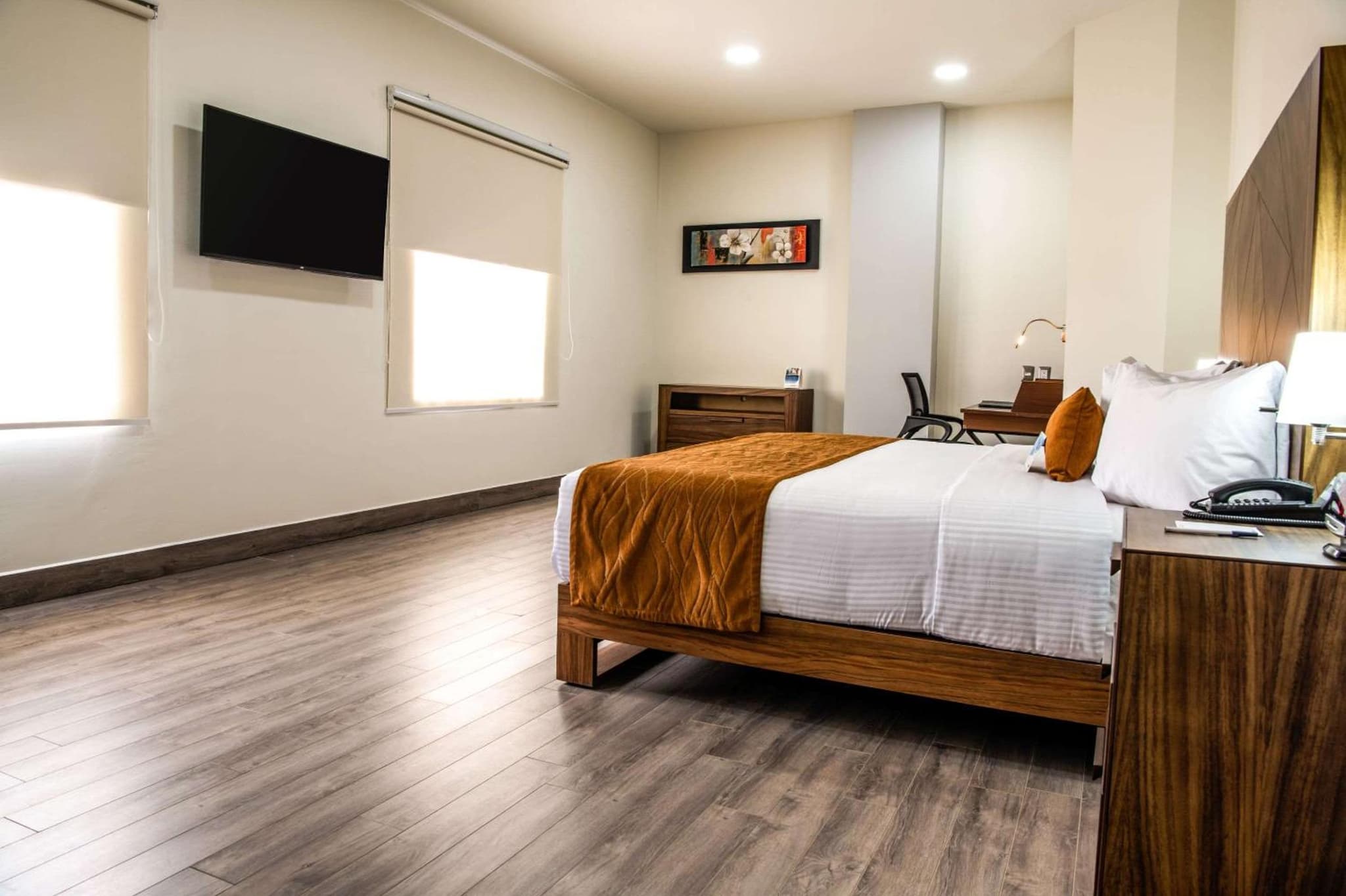 Comfort Inn Irapuato photo 2