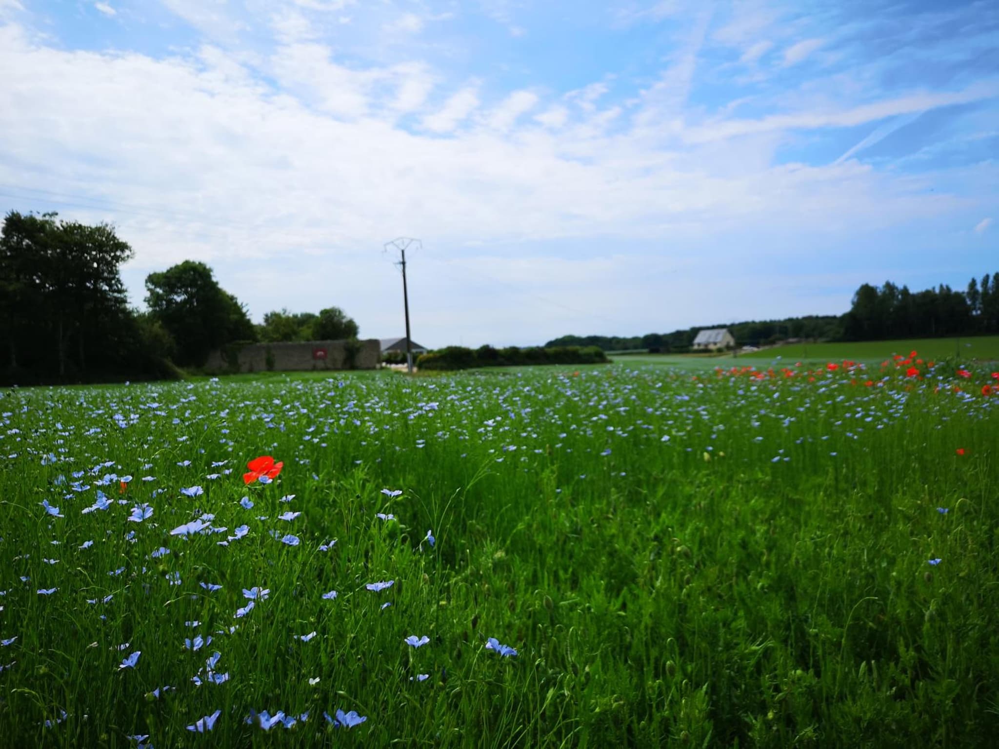 Les Chambres de Thiergeville photo 4