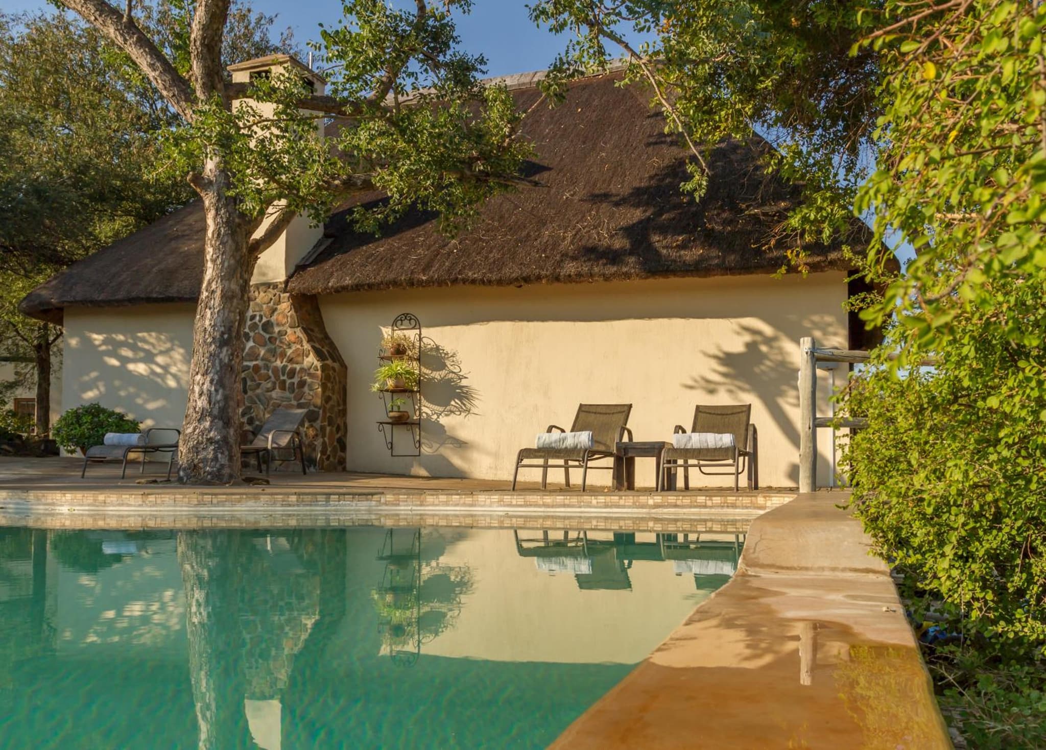 Mbizi Bush Lodge photo 4