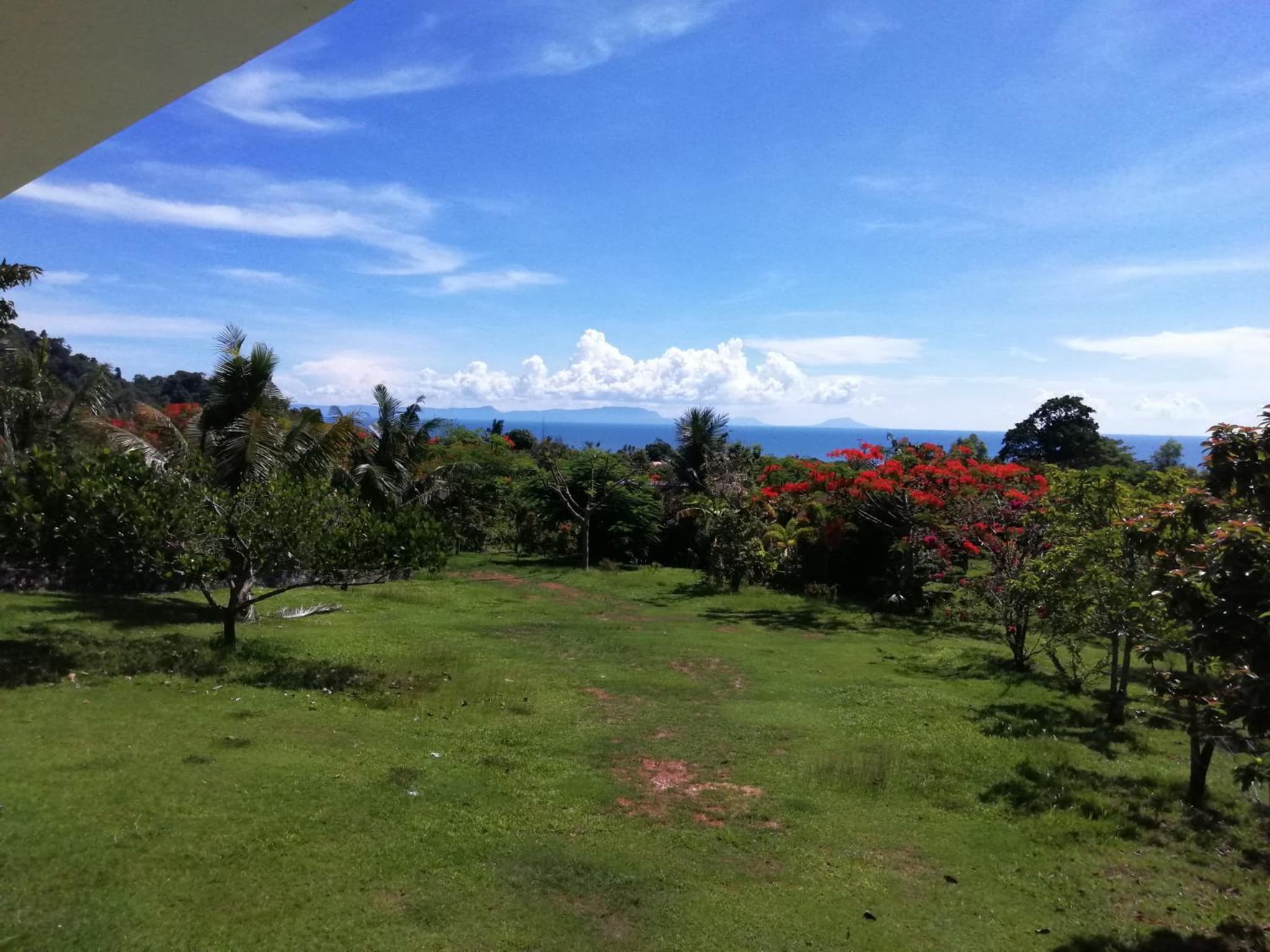 Q Bungalows photo 6