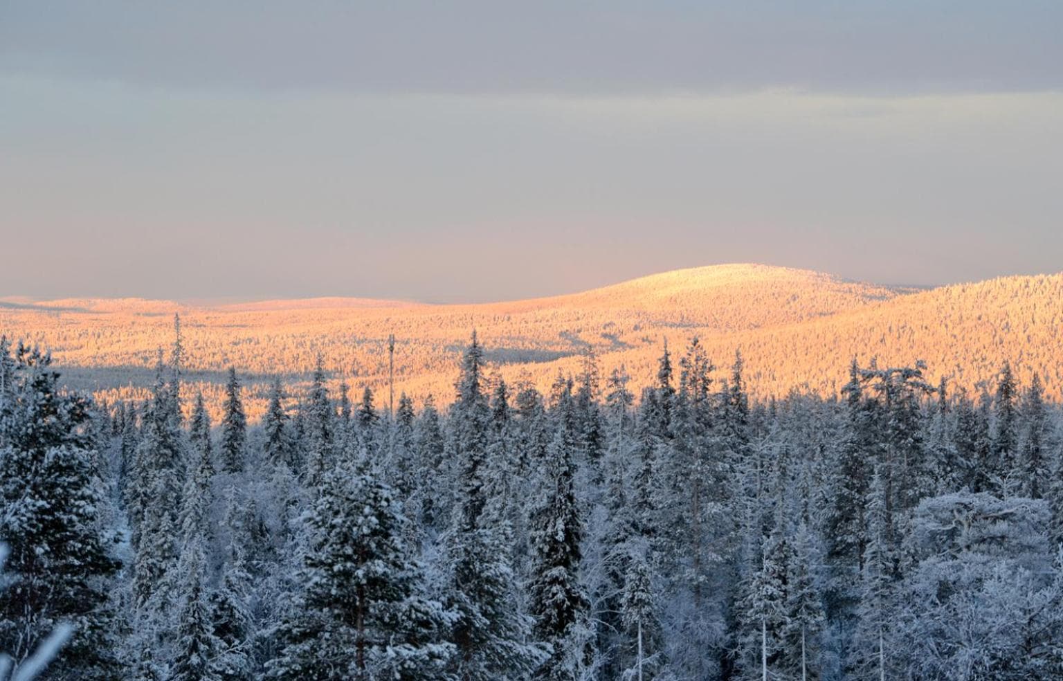 Talo Ylläs photo 9