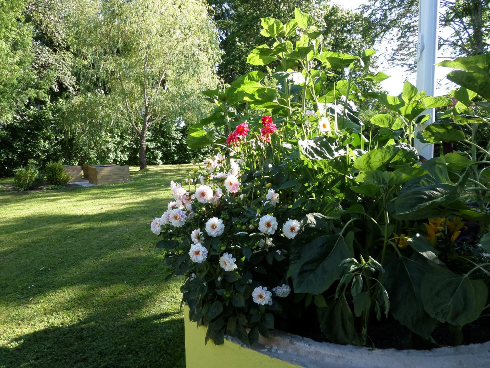 Skogis Bed & Breakfast photo 8