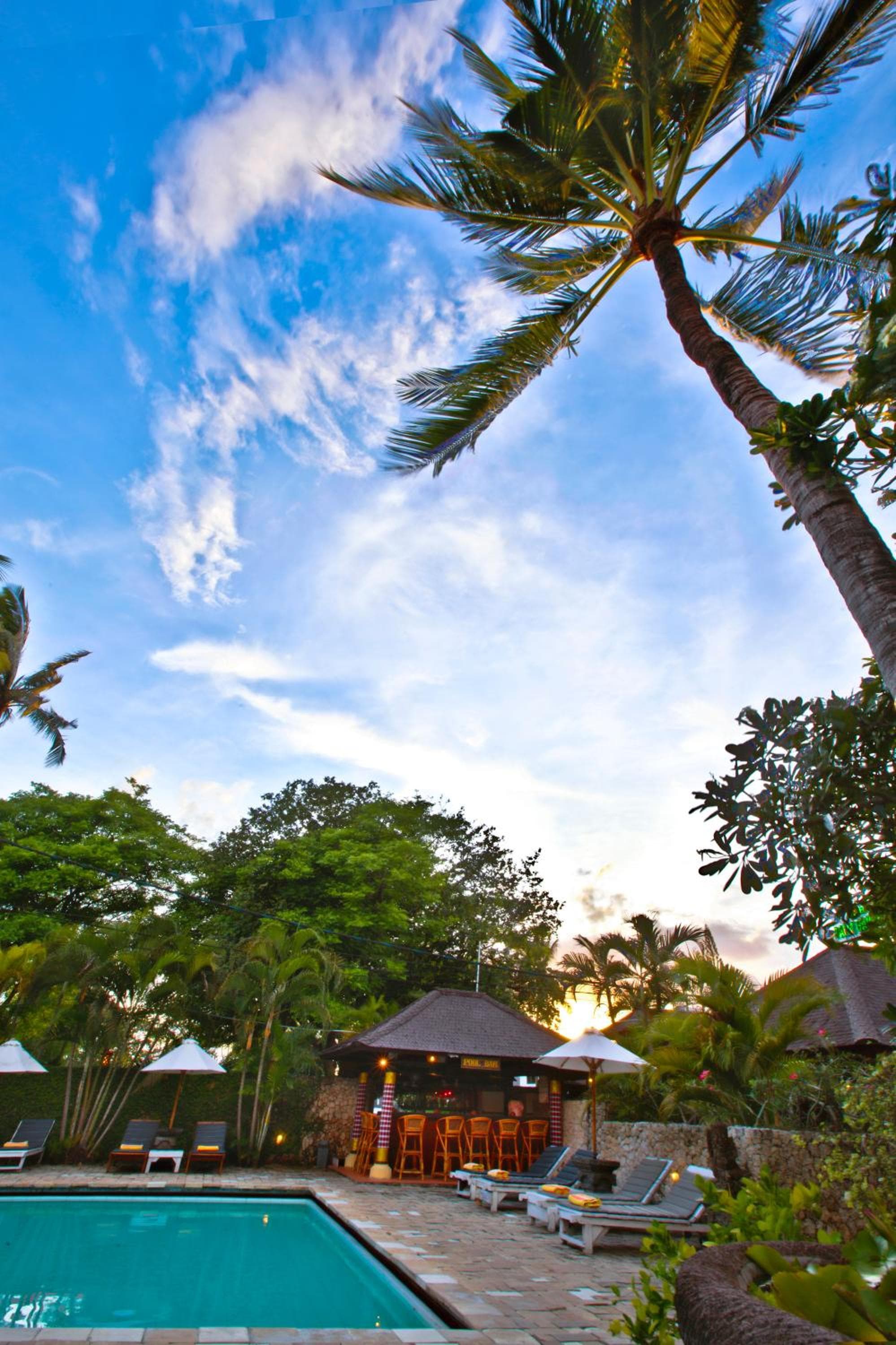 Palm Garden Hotel photo 6