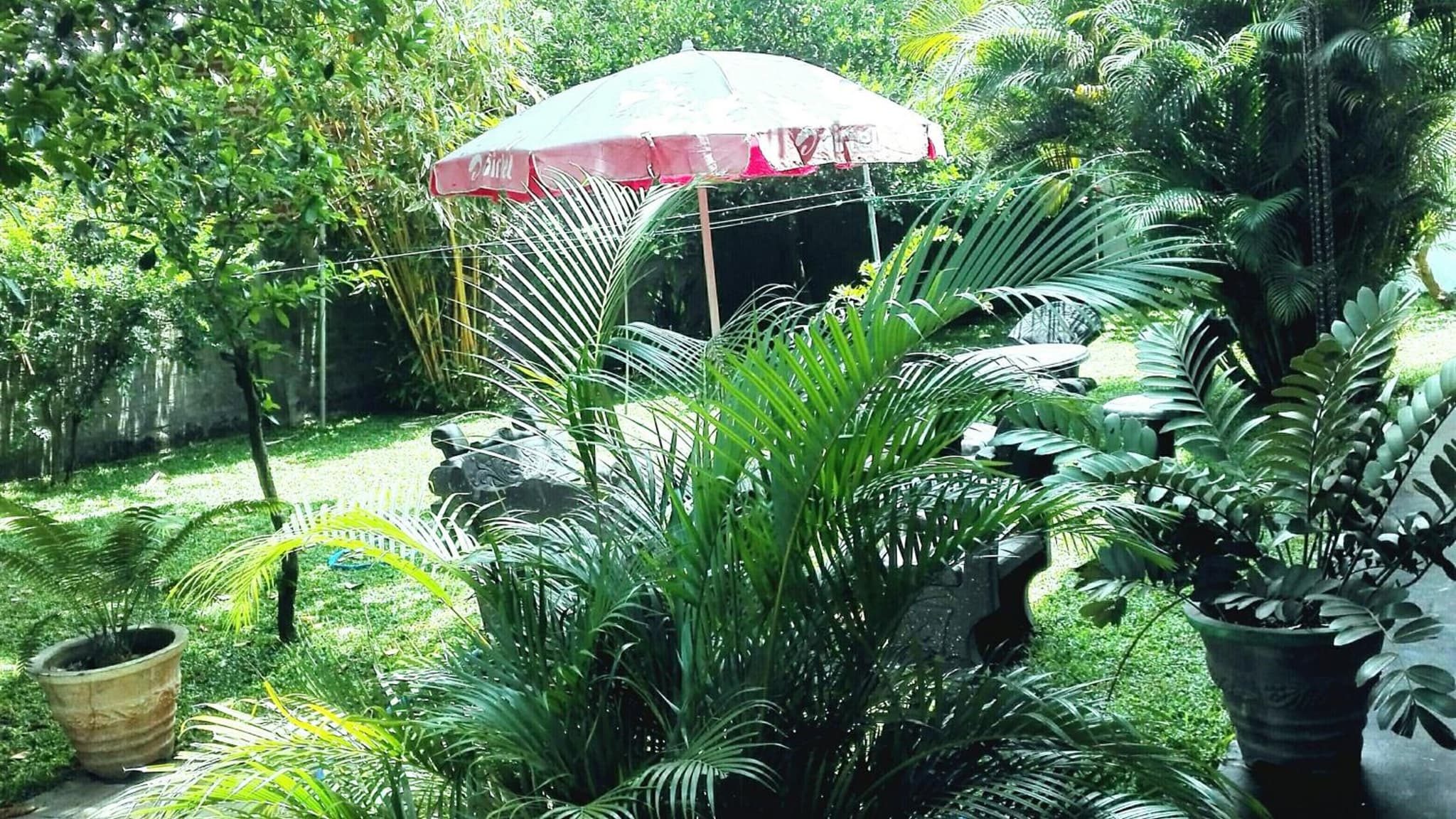 Takeshi Inn