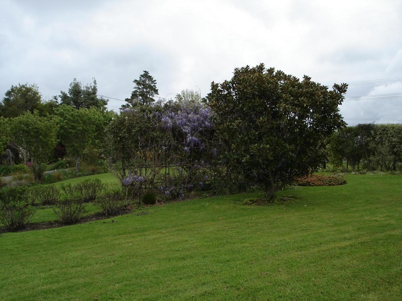 Warkworth Country House photo 6