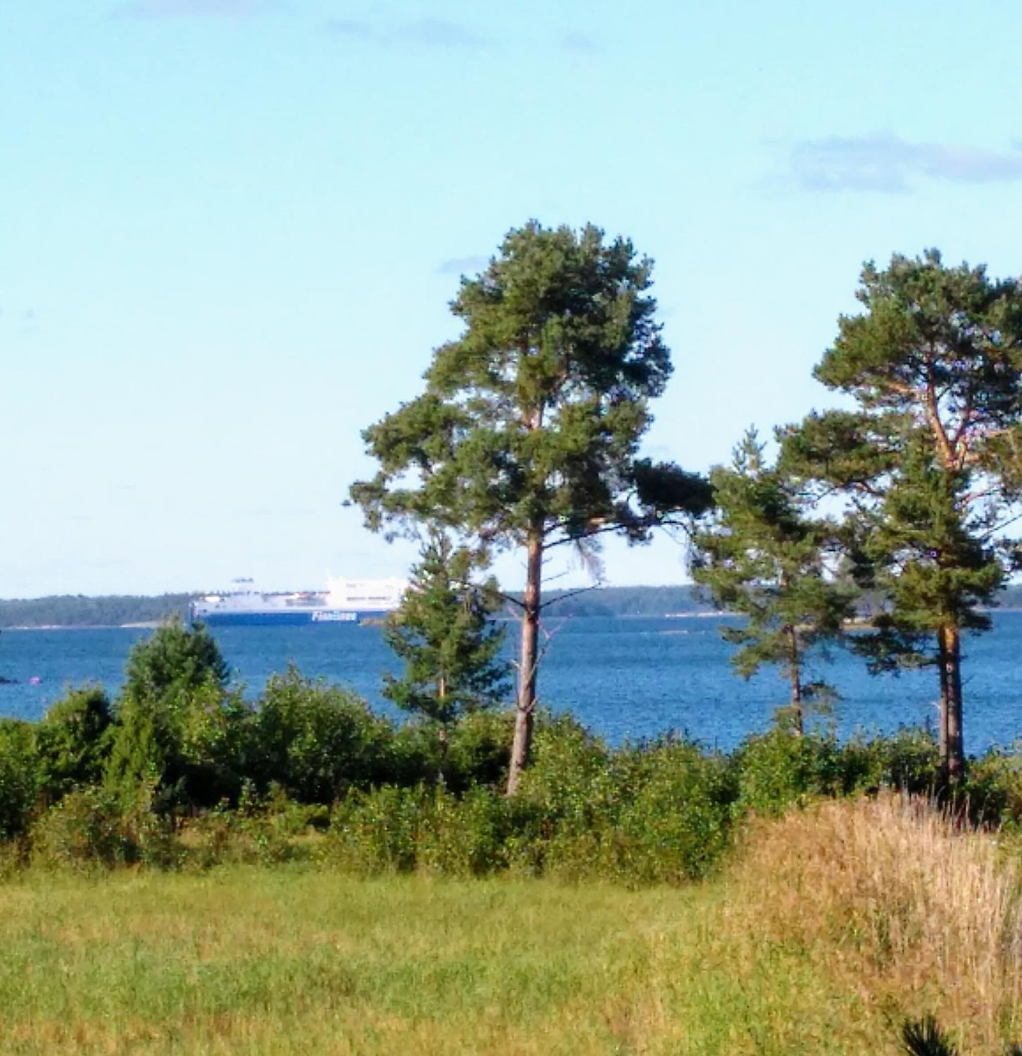 Hevosniemi photo 6