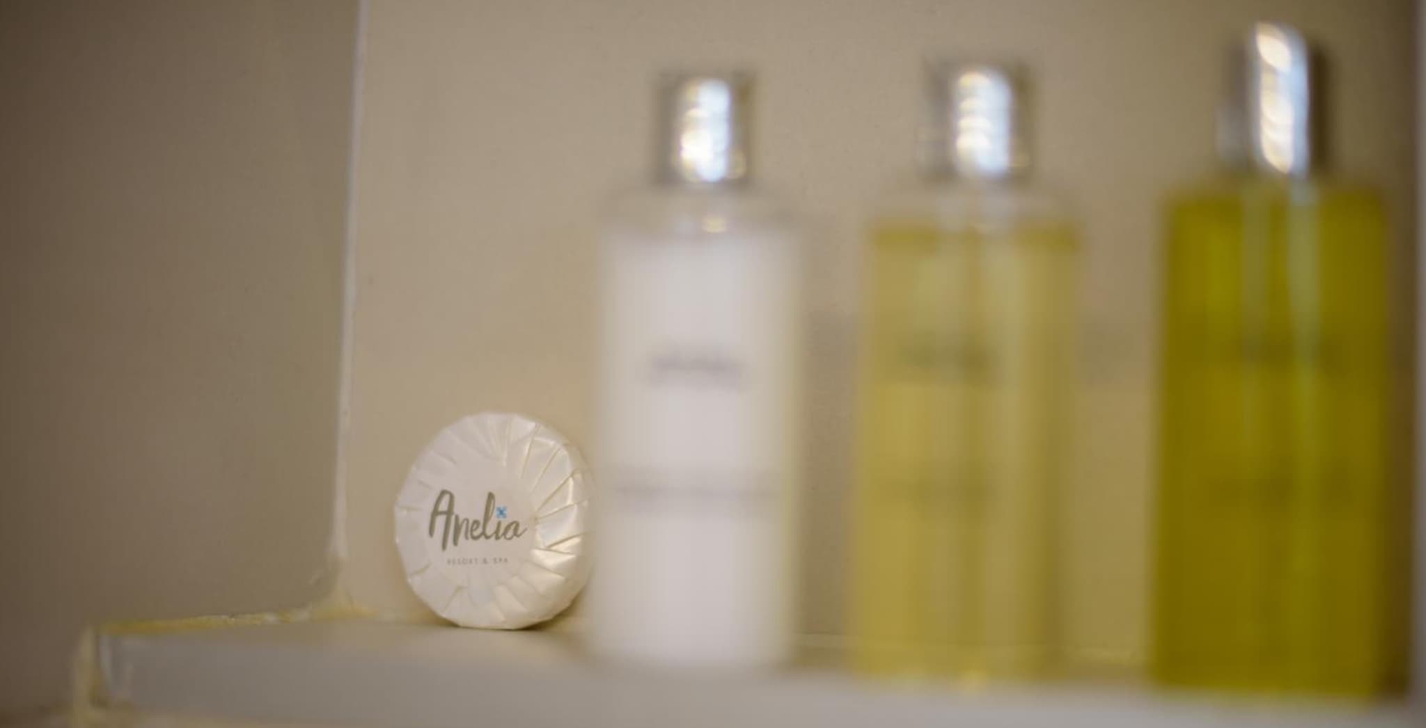 Anelia Resort & Spa photo 3