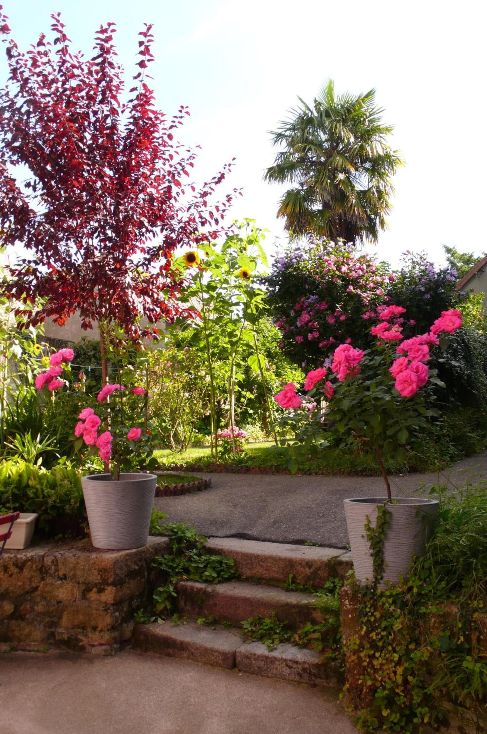 Villa Mons photo 8
