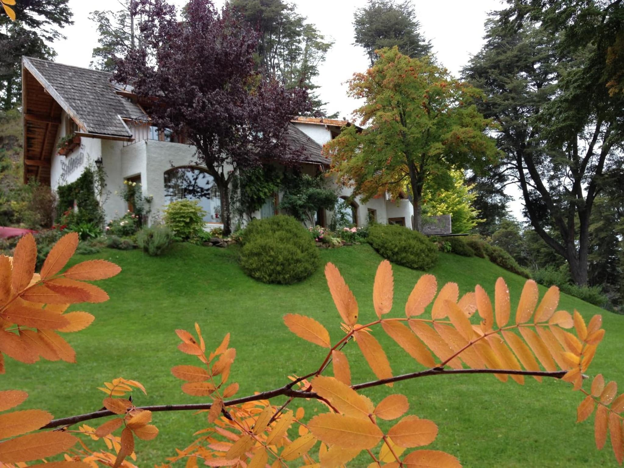 Bellevue photo 8