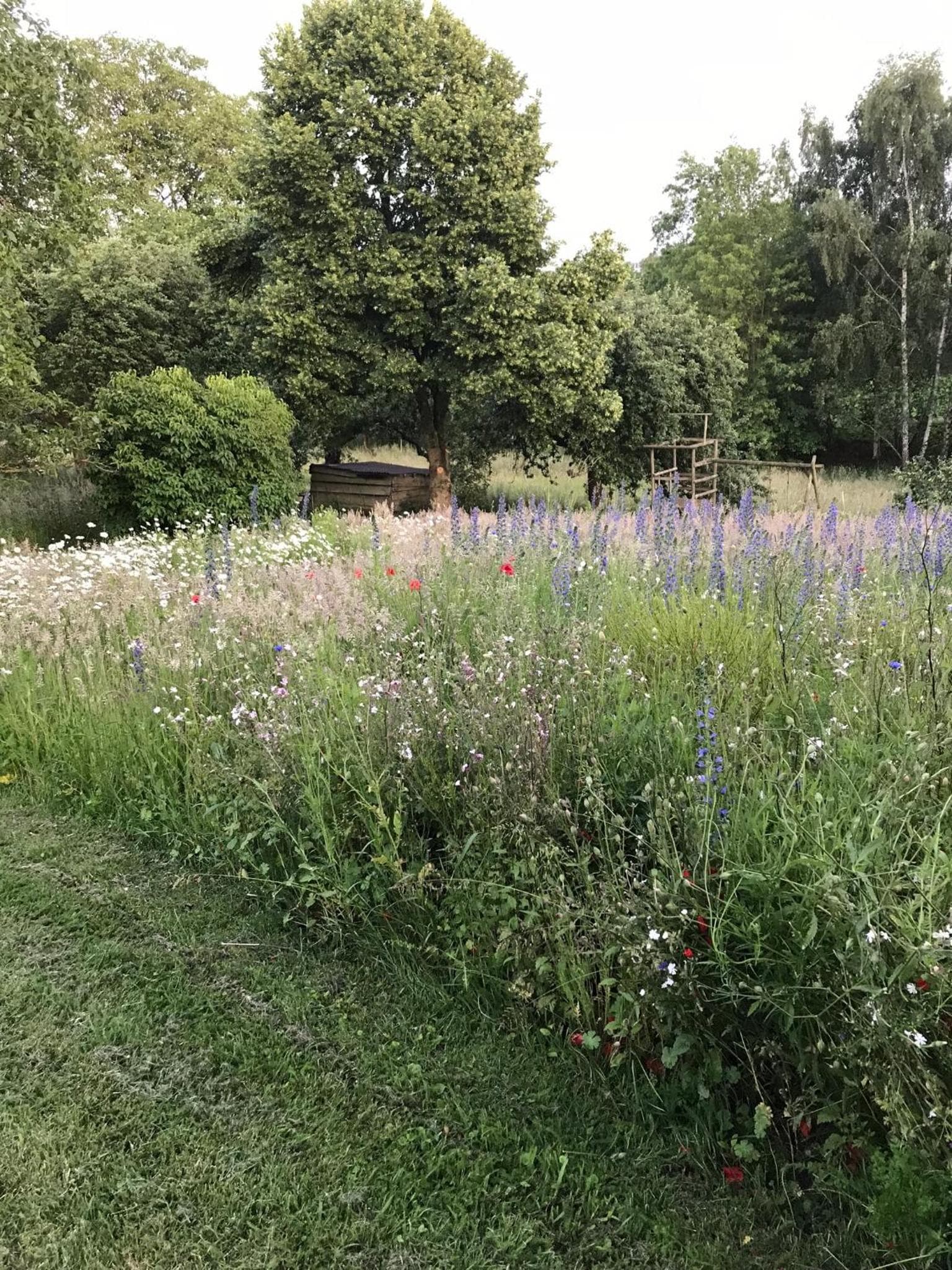 Le charme de l’Estroit photo 7