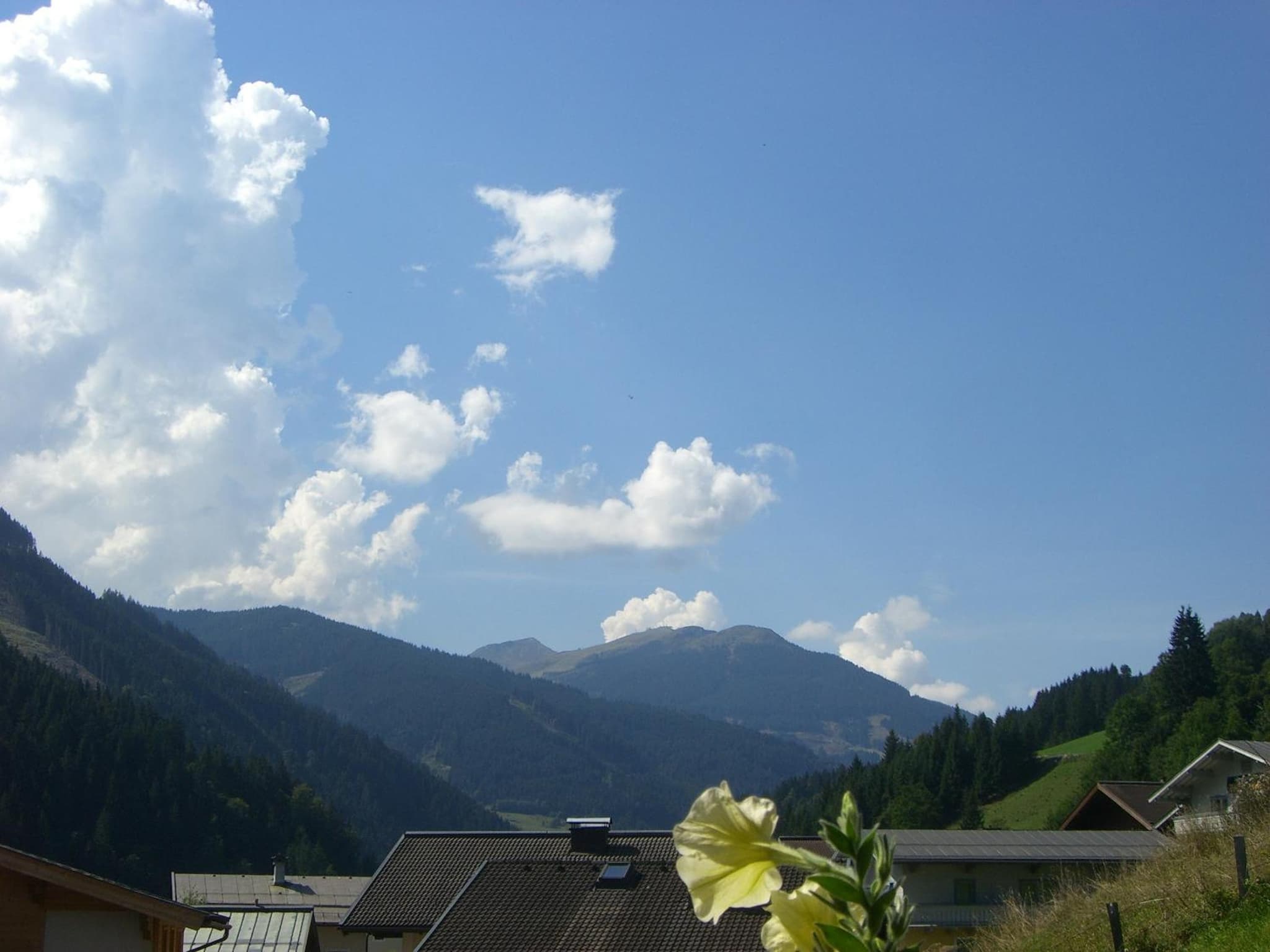 Landhaus Servus photo 3