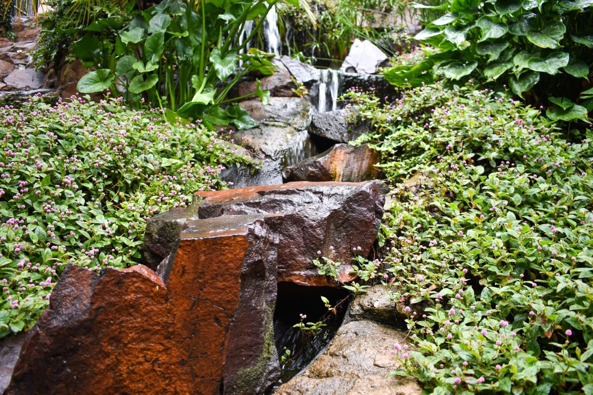 Waterfalls Boutique Hotel photo 7