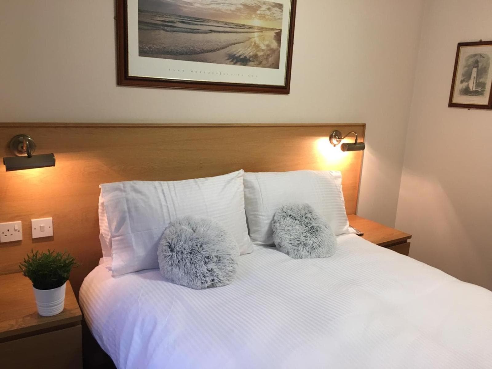 Terra Nova Hotel photo 6