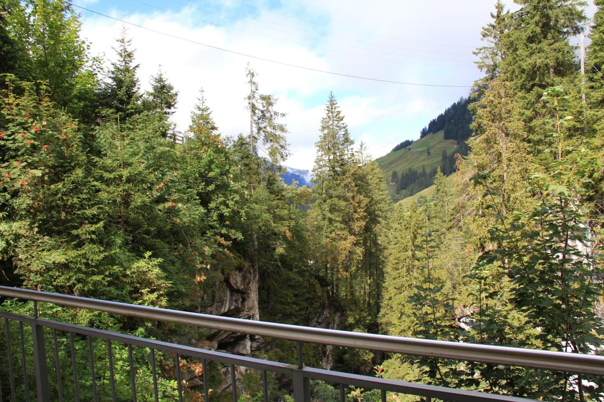 Griesalp Hotels photo 5