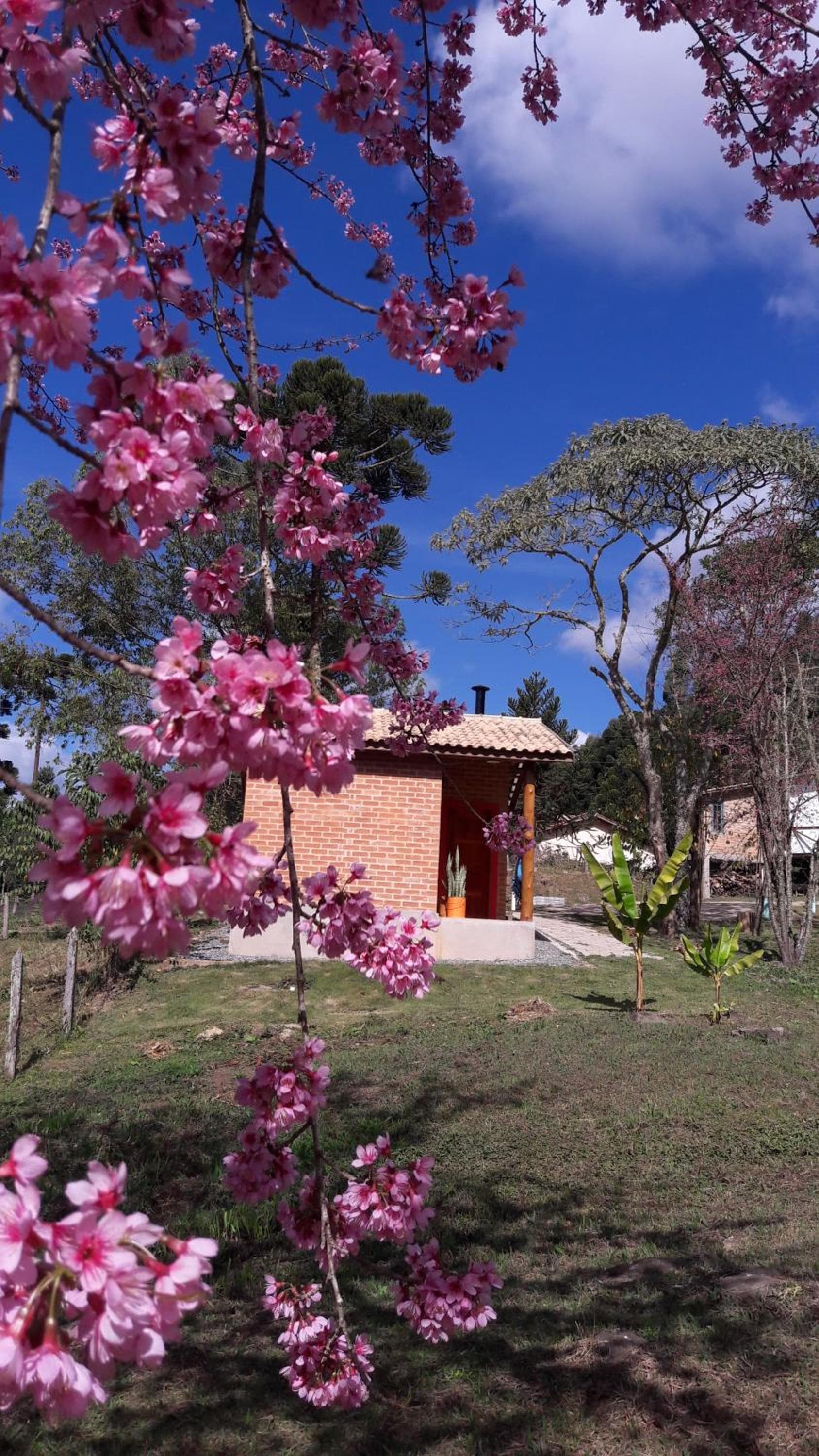Chalé Caminho da Montanha photo 7