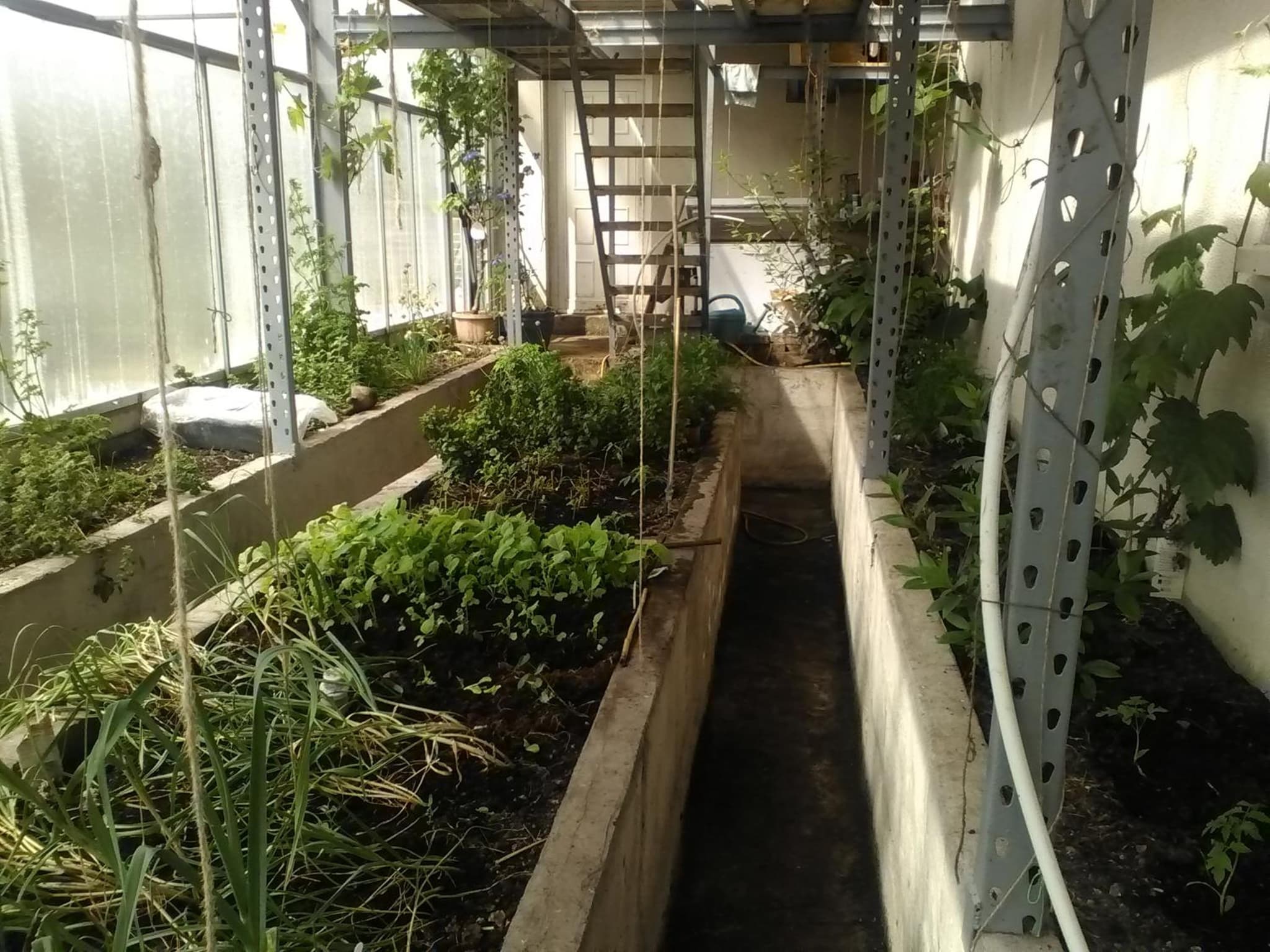 The Little Flock Farm photo 3