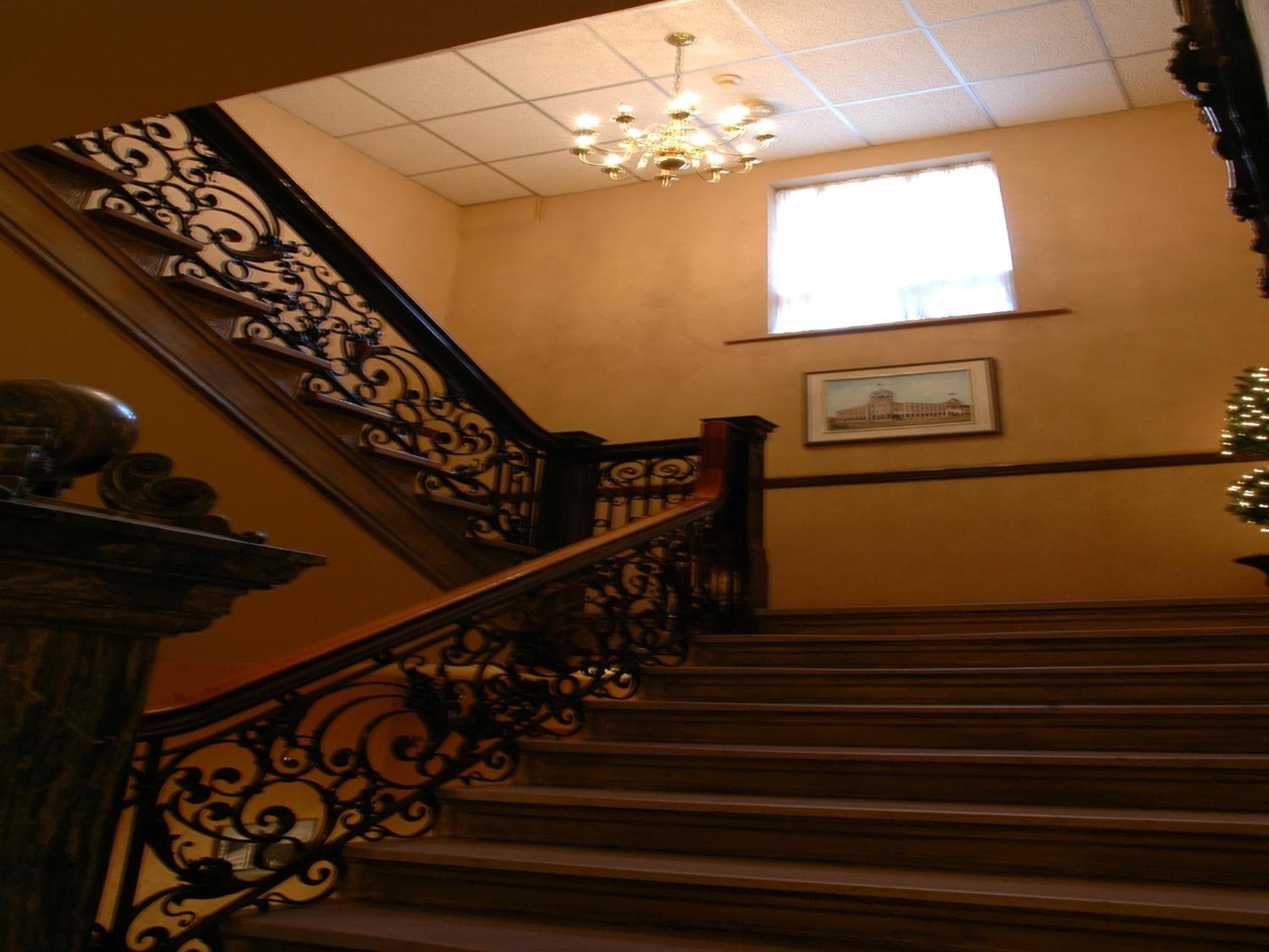 Hotel Senator photo 7