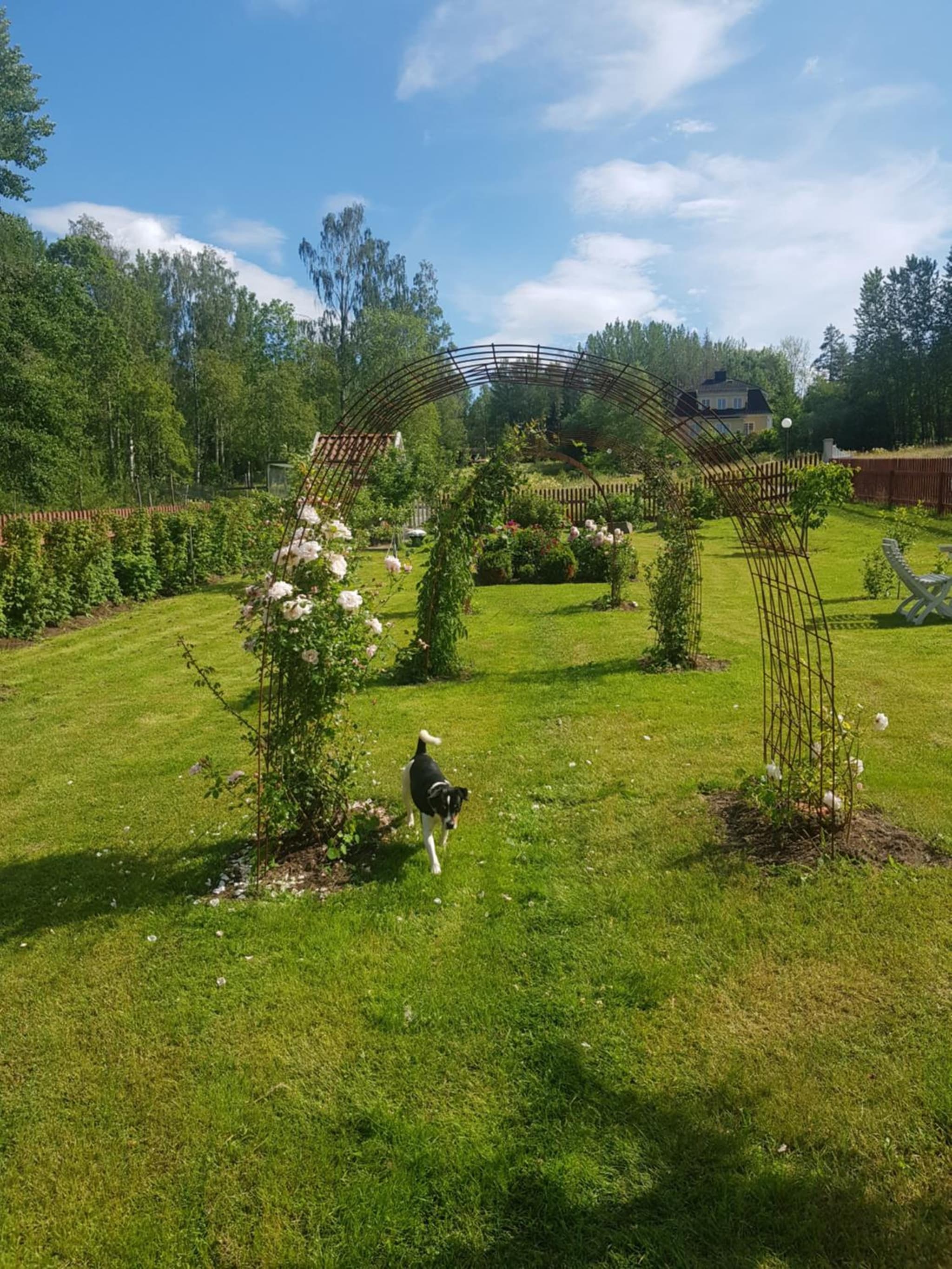 Ängbacka photo 6