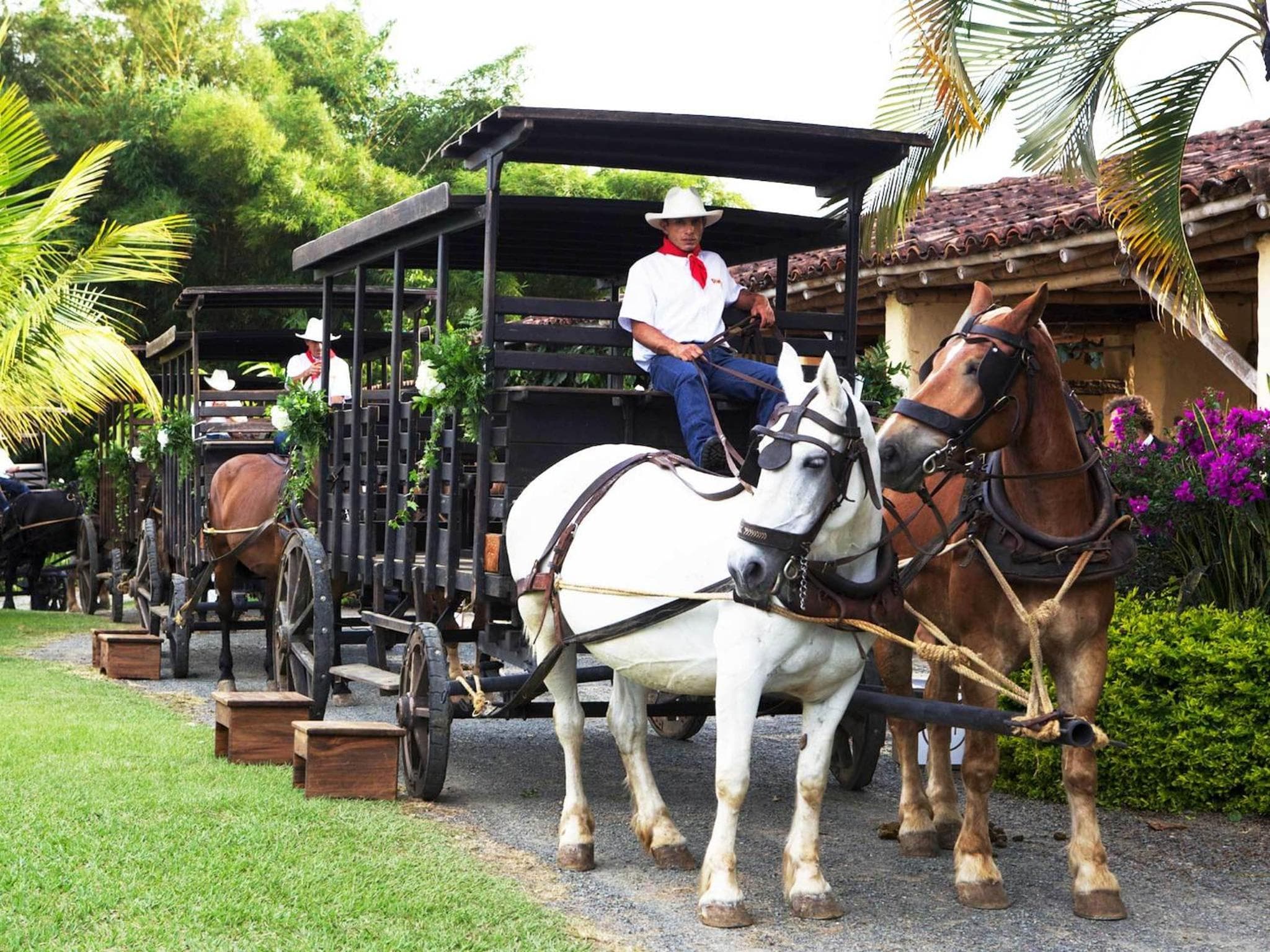Decameron Panaca - All Inclusive photo 5