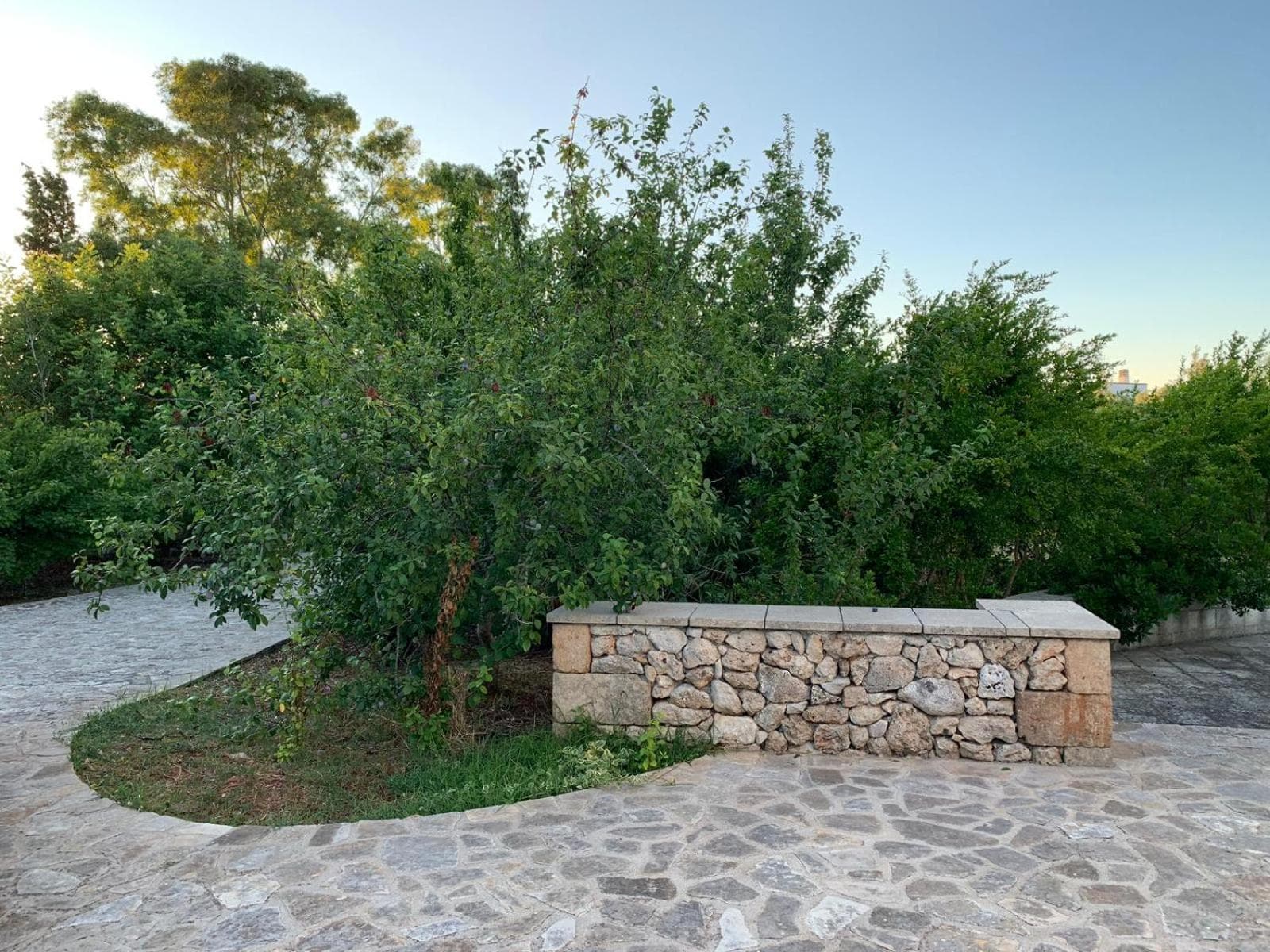 Villa Olivia photo 7