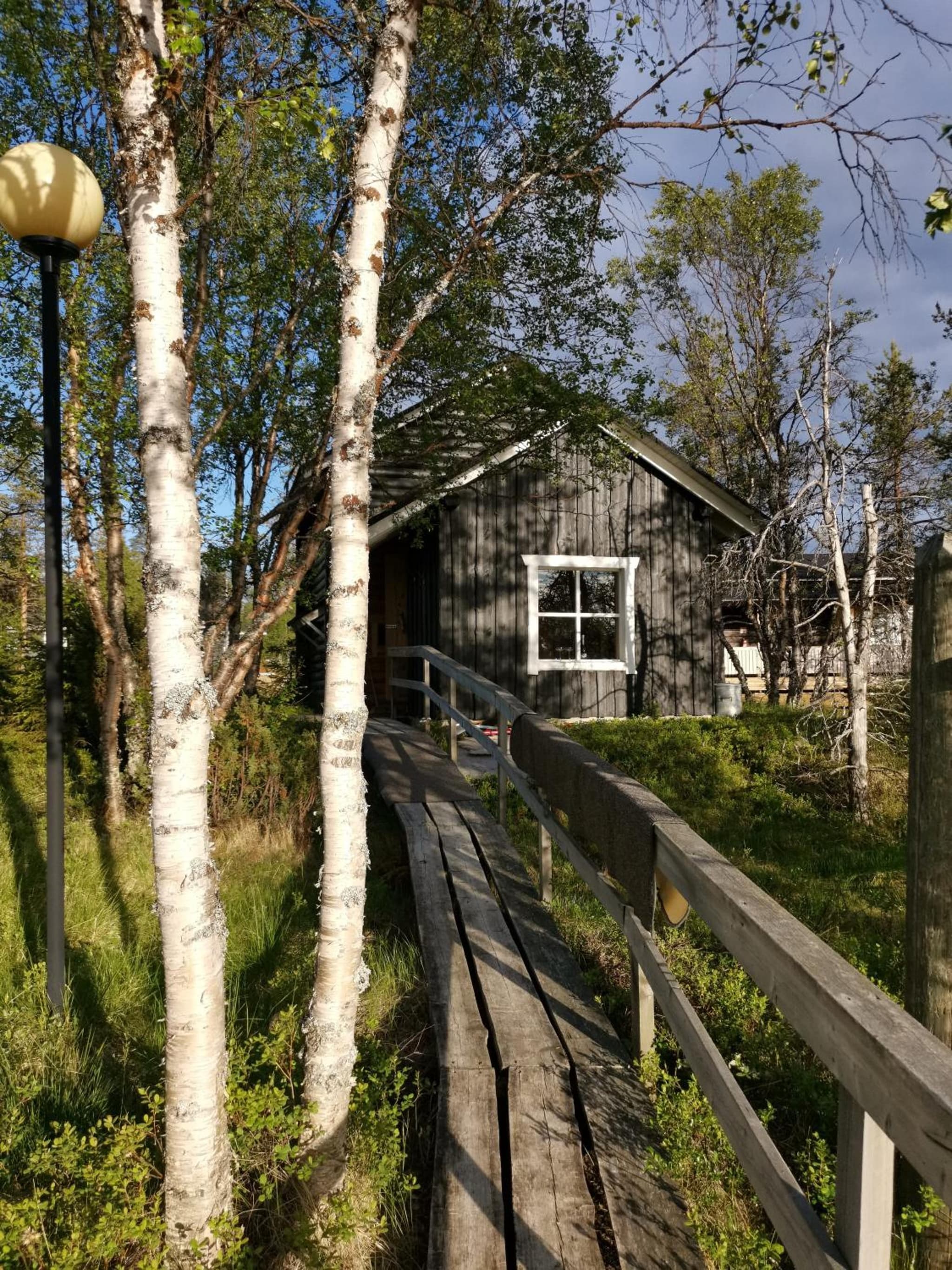 Wilderness Hotel Muotka & Igloos photo 2