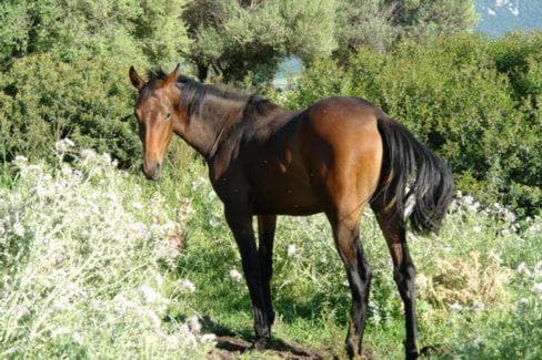 Agriturismo Didone photo 9