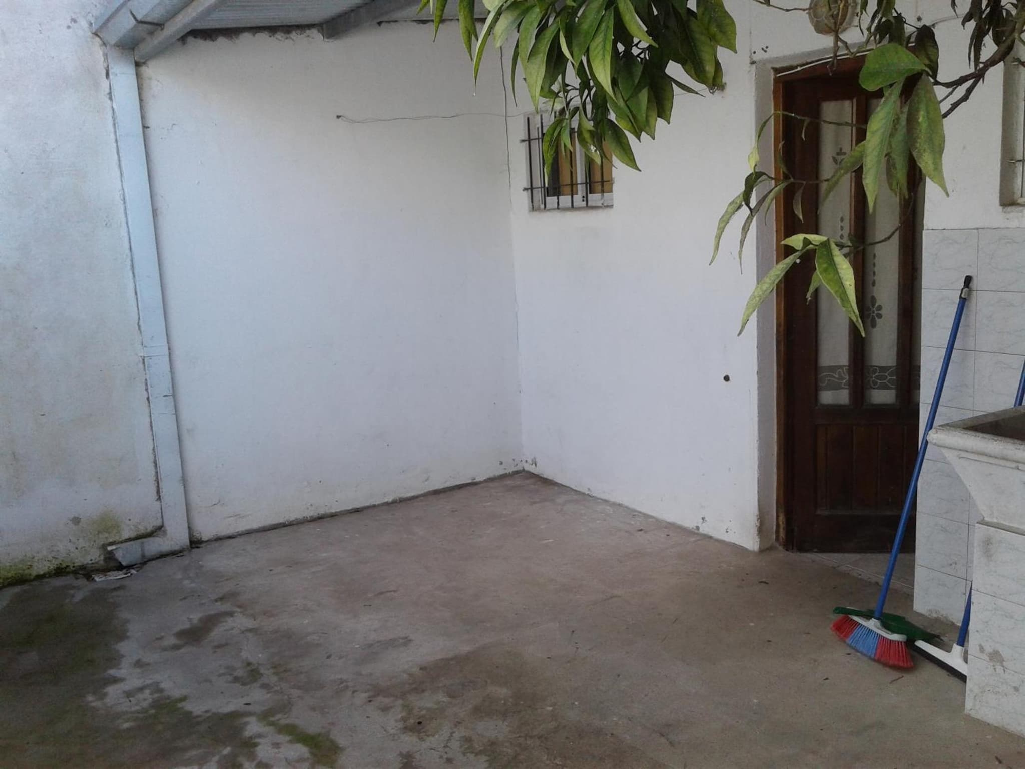 Juana 1152 photo 7