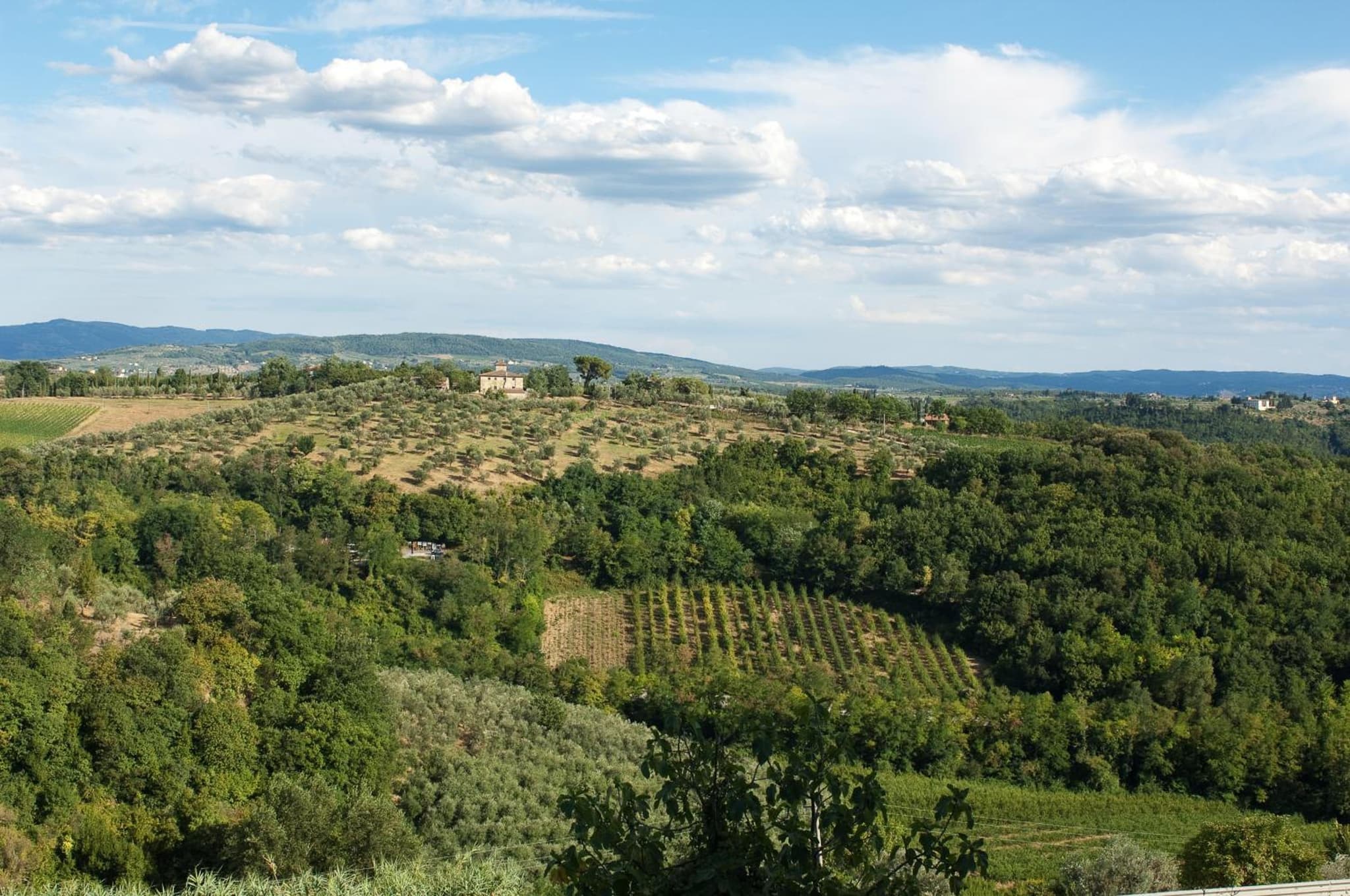 Villa Il Fedino photo 3