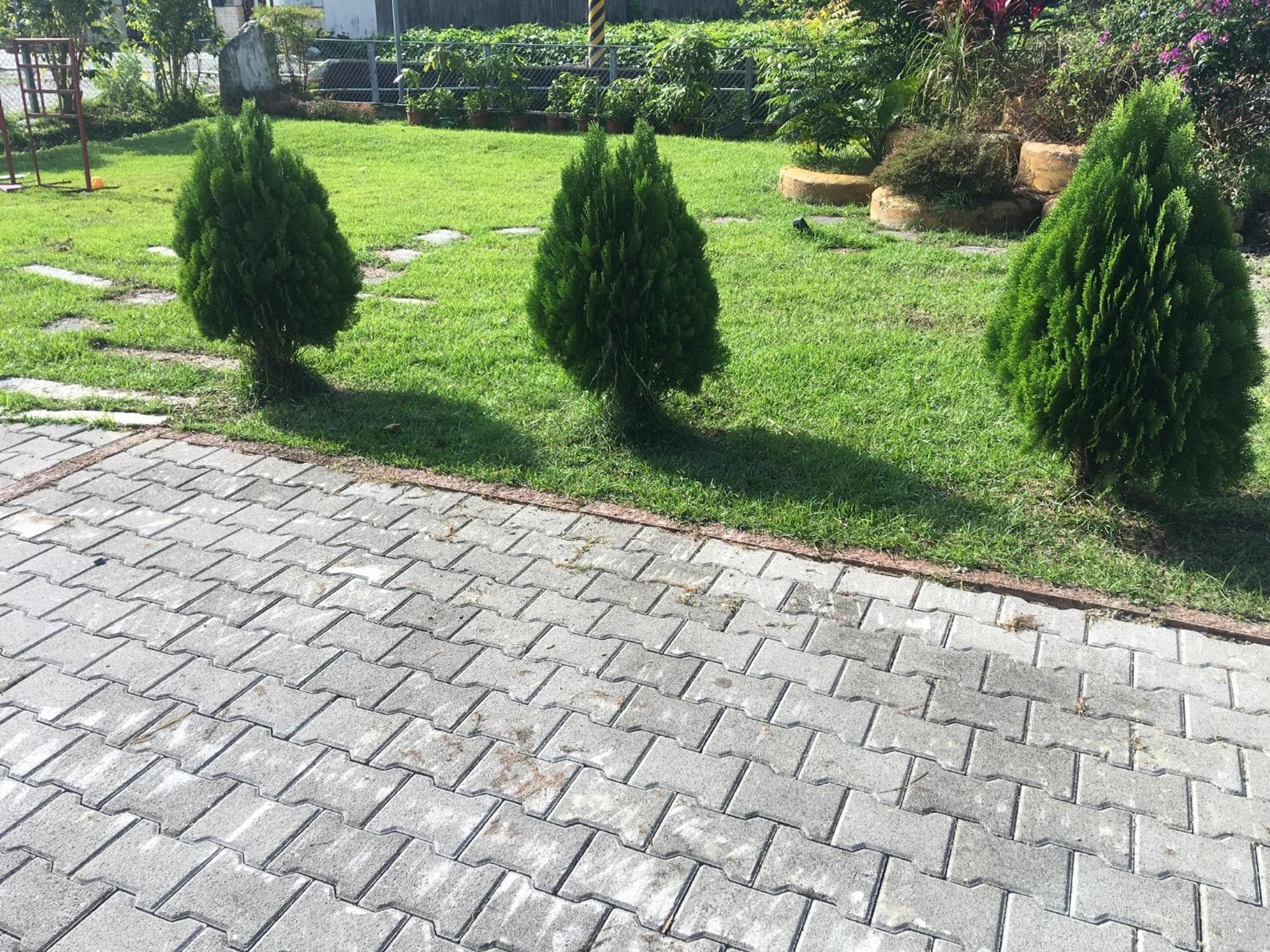 Bo Jue Farm Stay photo 9