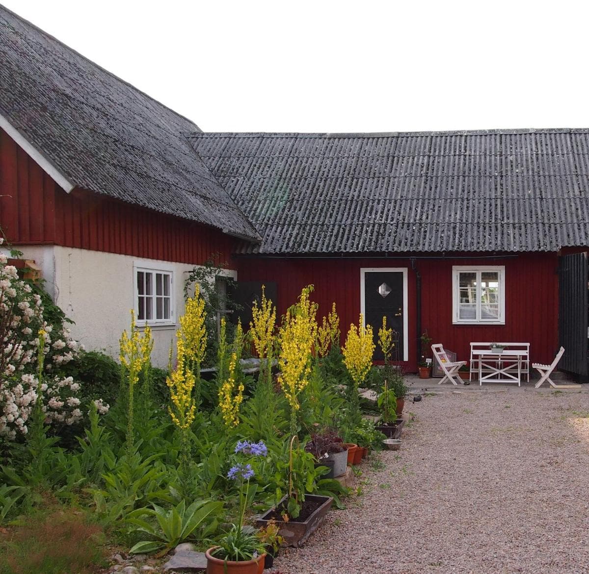Augustas Bed & Breakfast