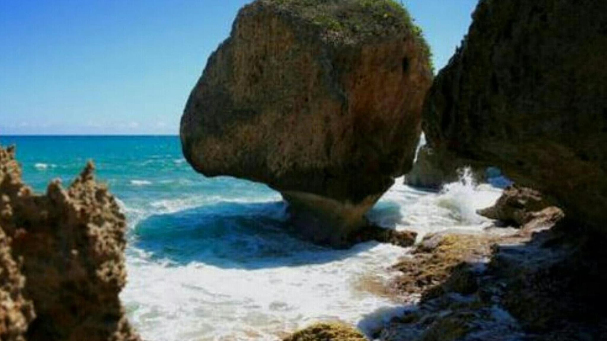 Palmeras Del Mar photo 5