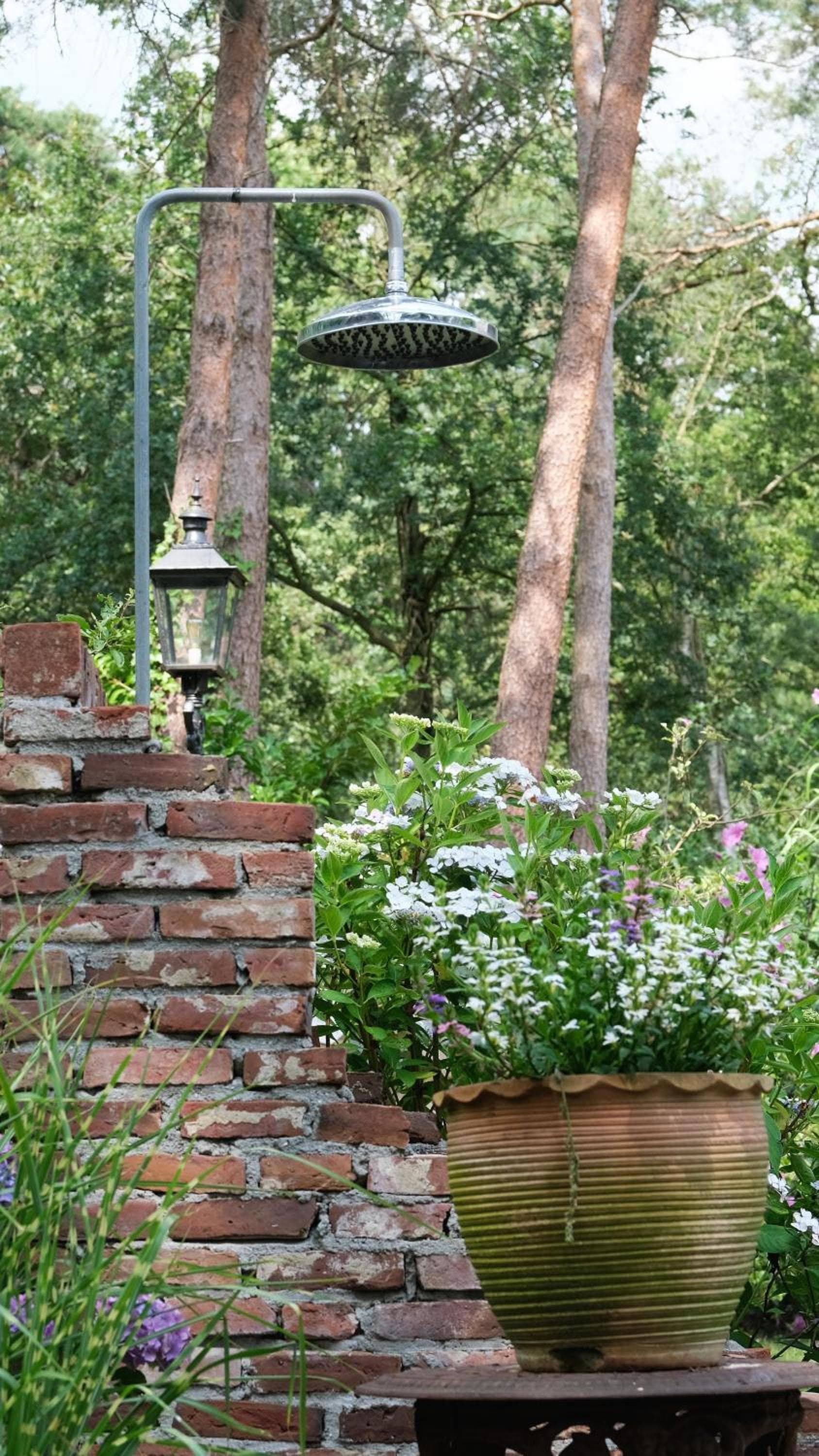 Vakantiewoning Salland photo 4