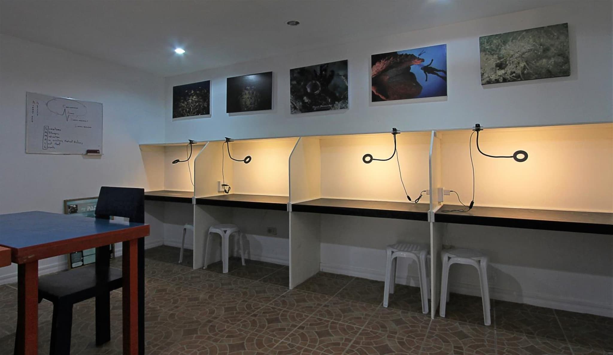 Thalatta Resort photo 3