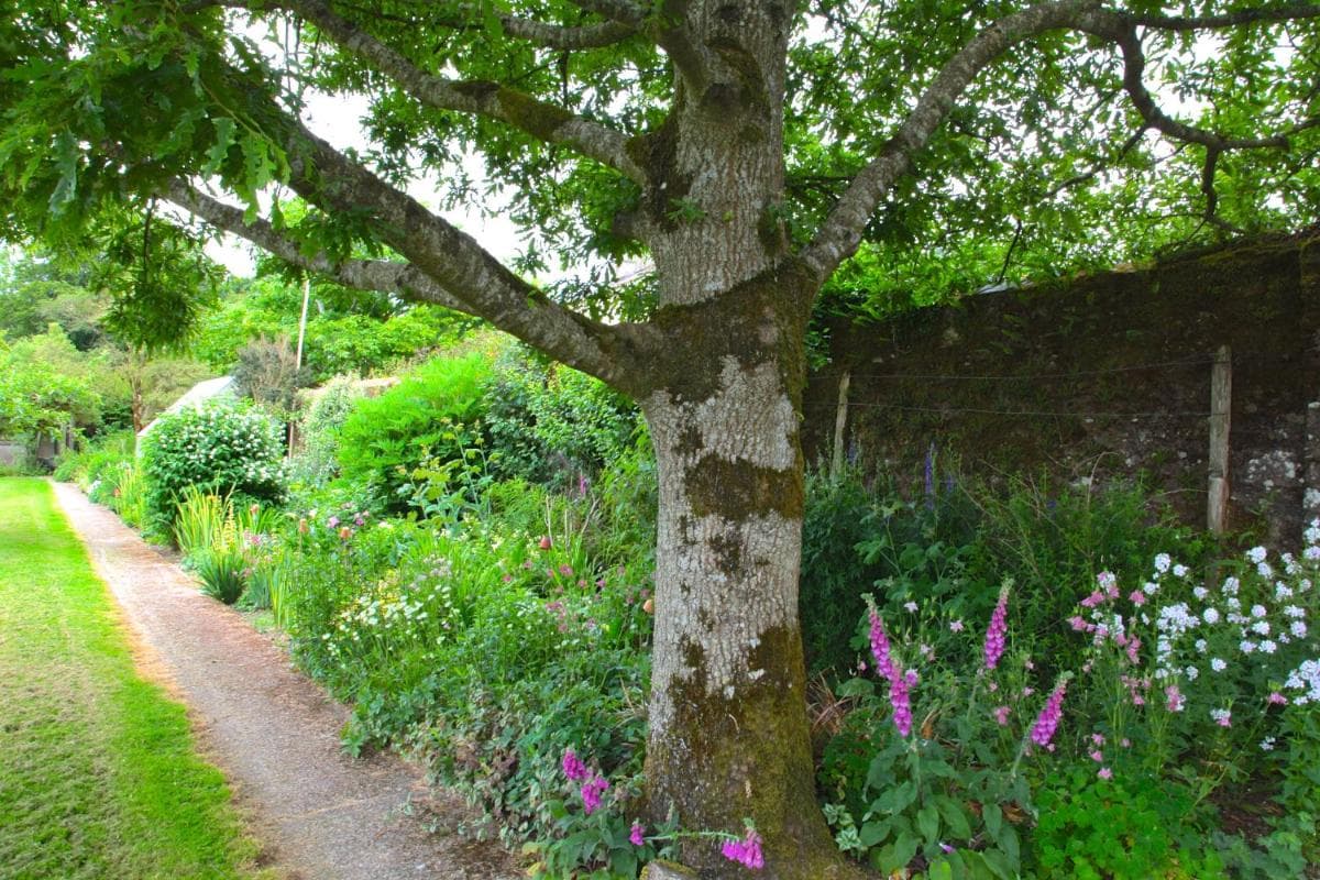 Willowhill House photo 4