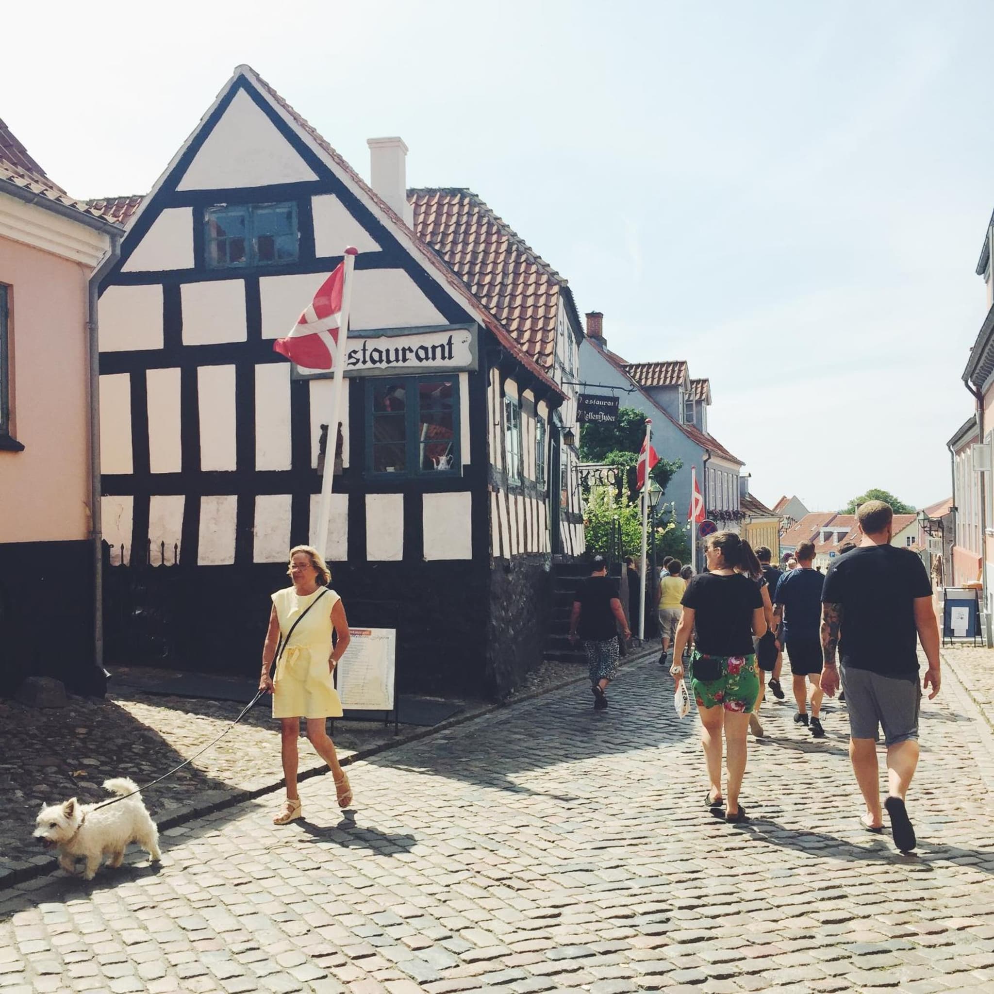 Ebeltoft Midtby photo 5